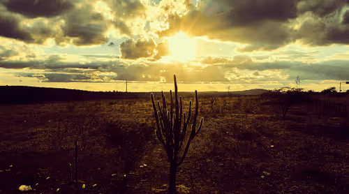 Strongest #14 - Thriving