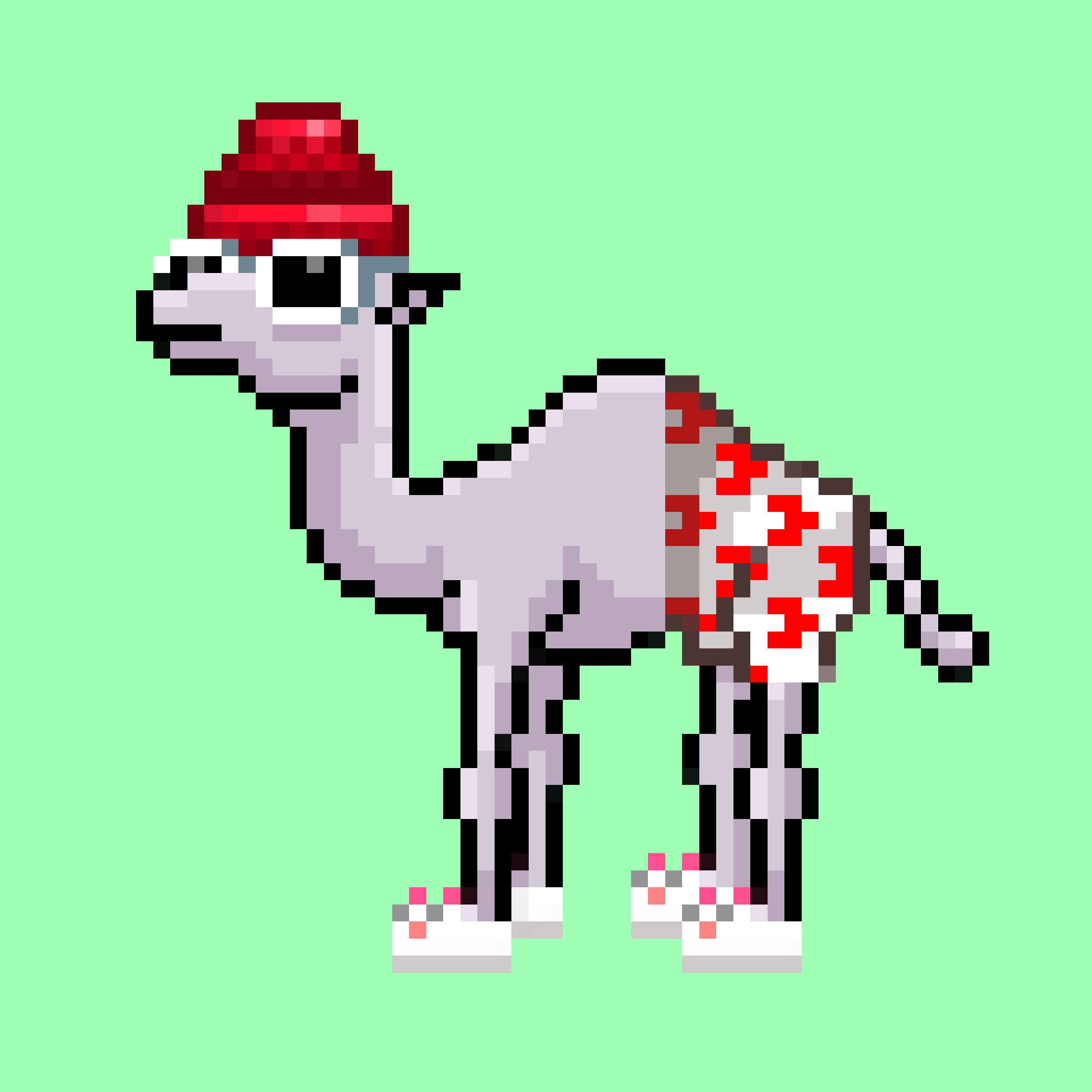 CryptoCamels #1701