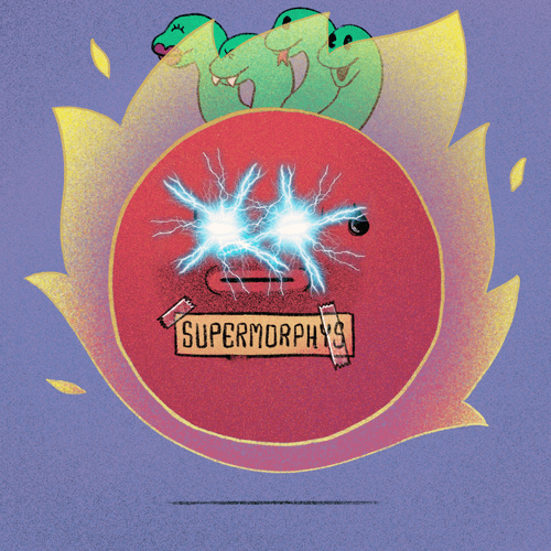 Alexander - Morphys SUPES #231