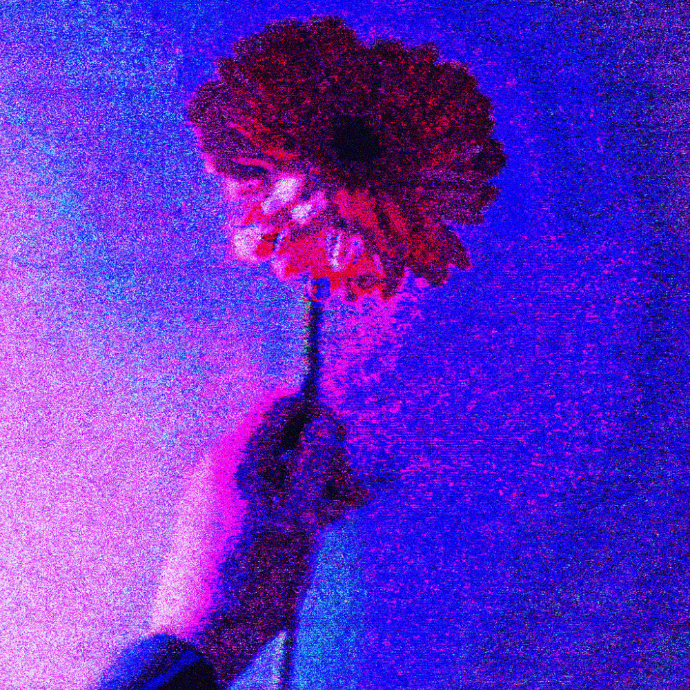 the heart wants more flowers