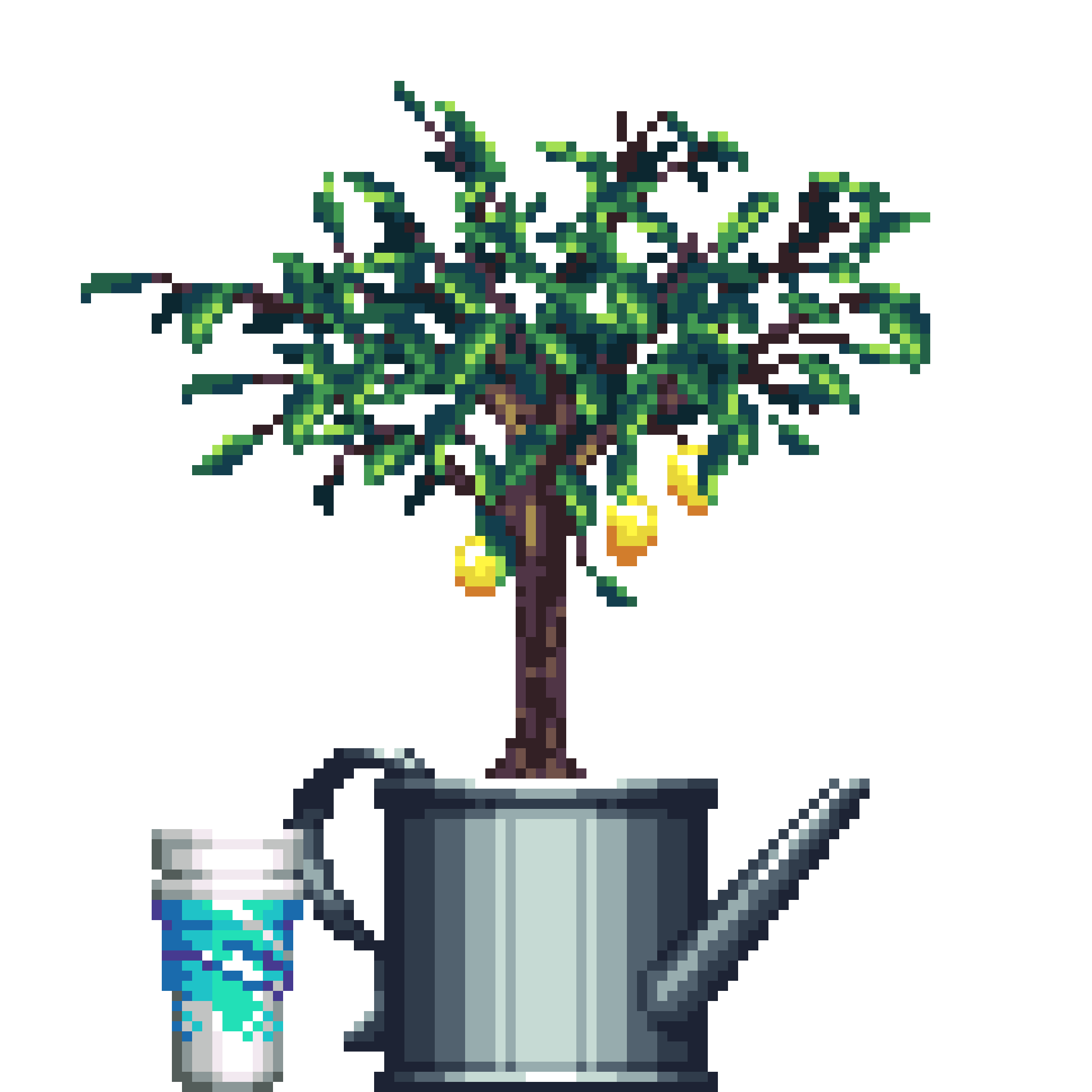 Lemon Tree in Steel Watering Can pot with Jazz Double Cup