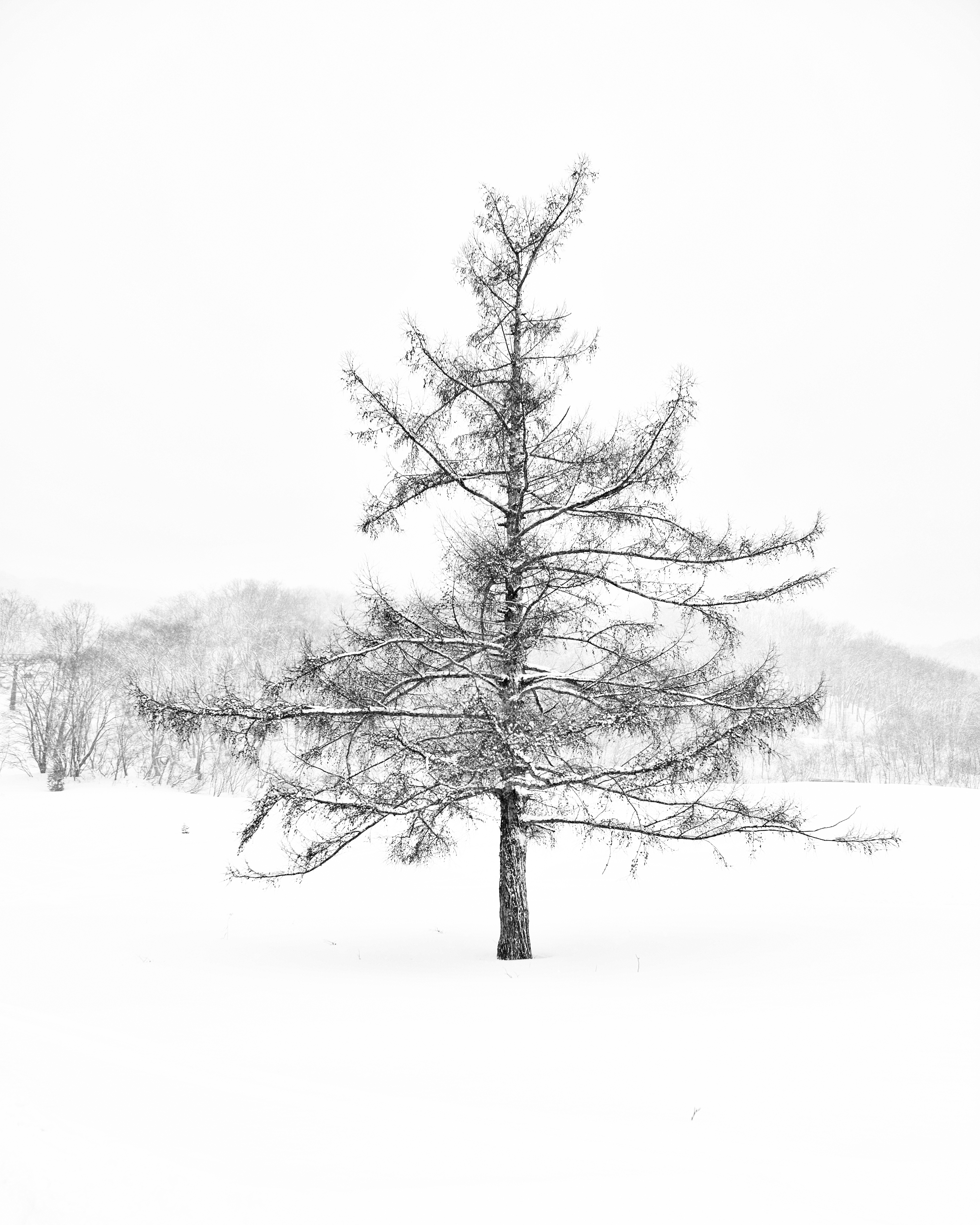 ZenMeditation - Plate 10