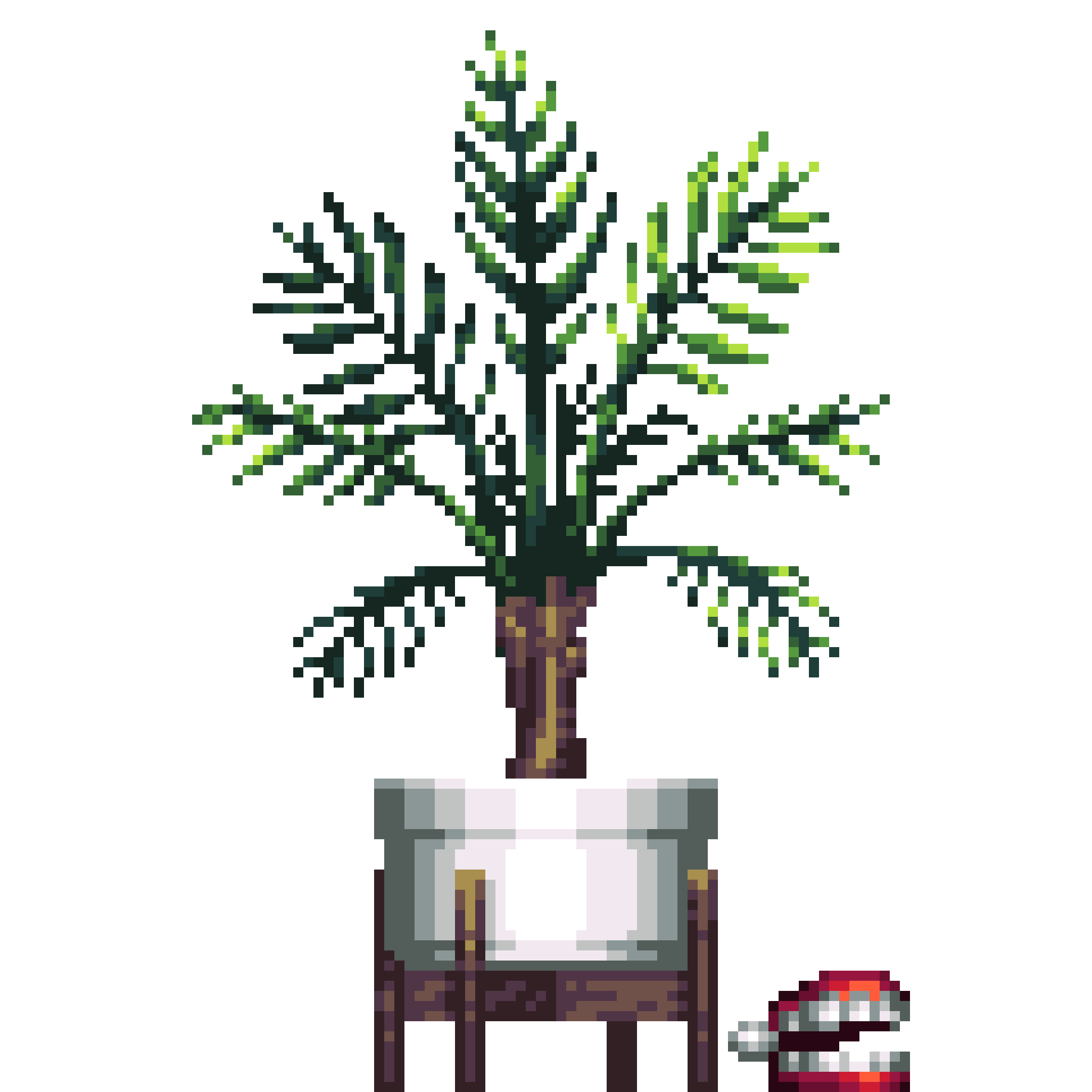 Areca Palm in Elevated Wood pot with Chattering Teeth