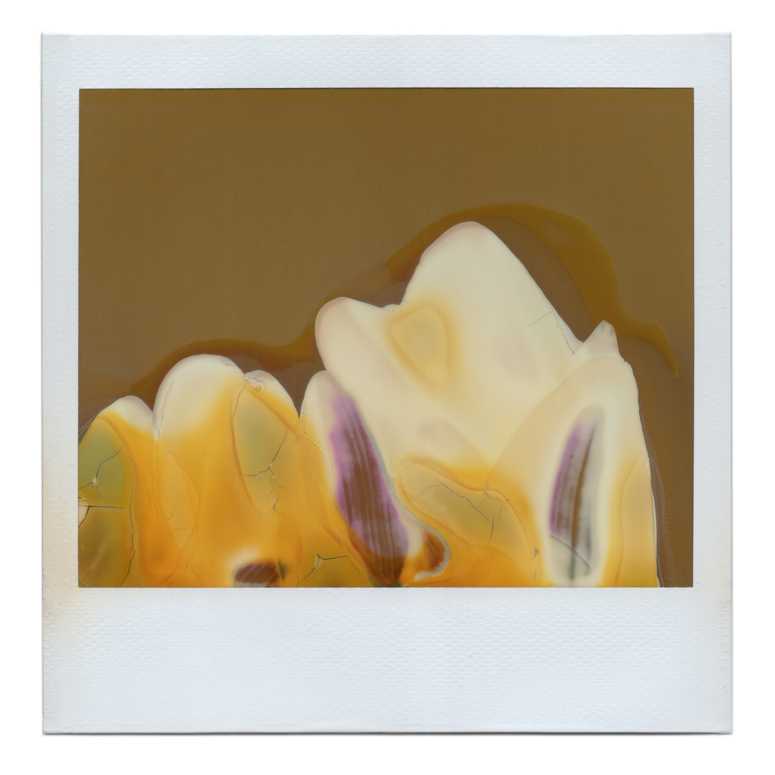 Repurpose of Failure #55