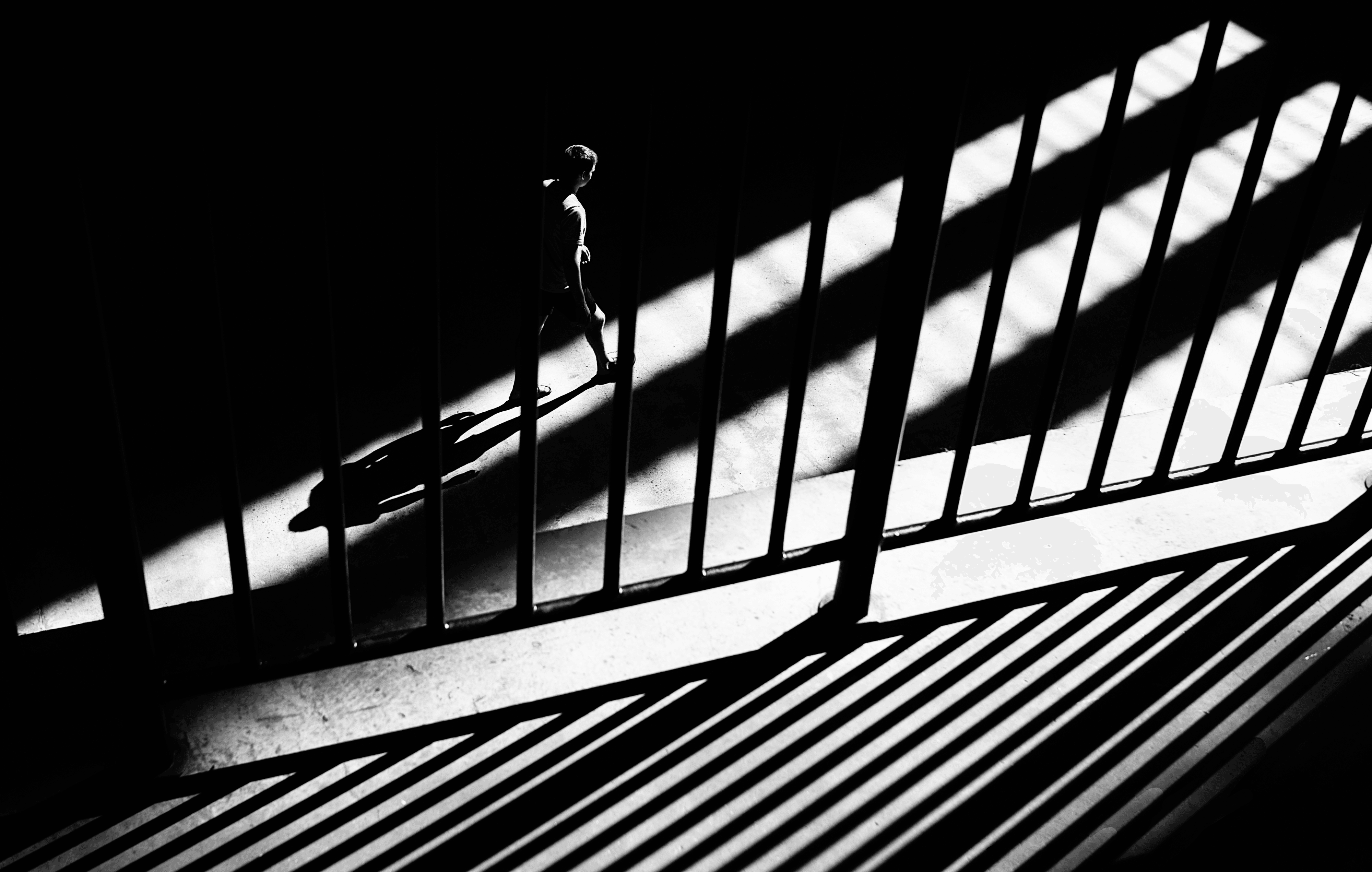 White Lines #20 - Lines