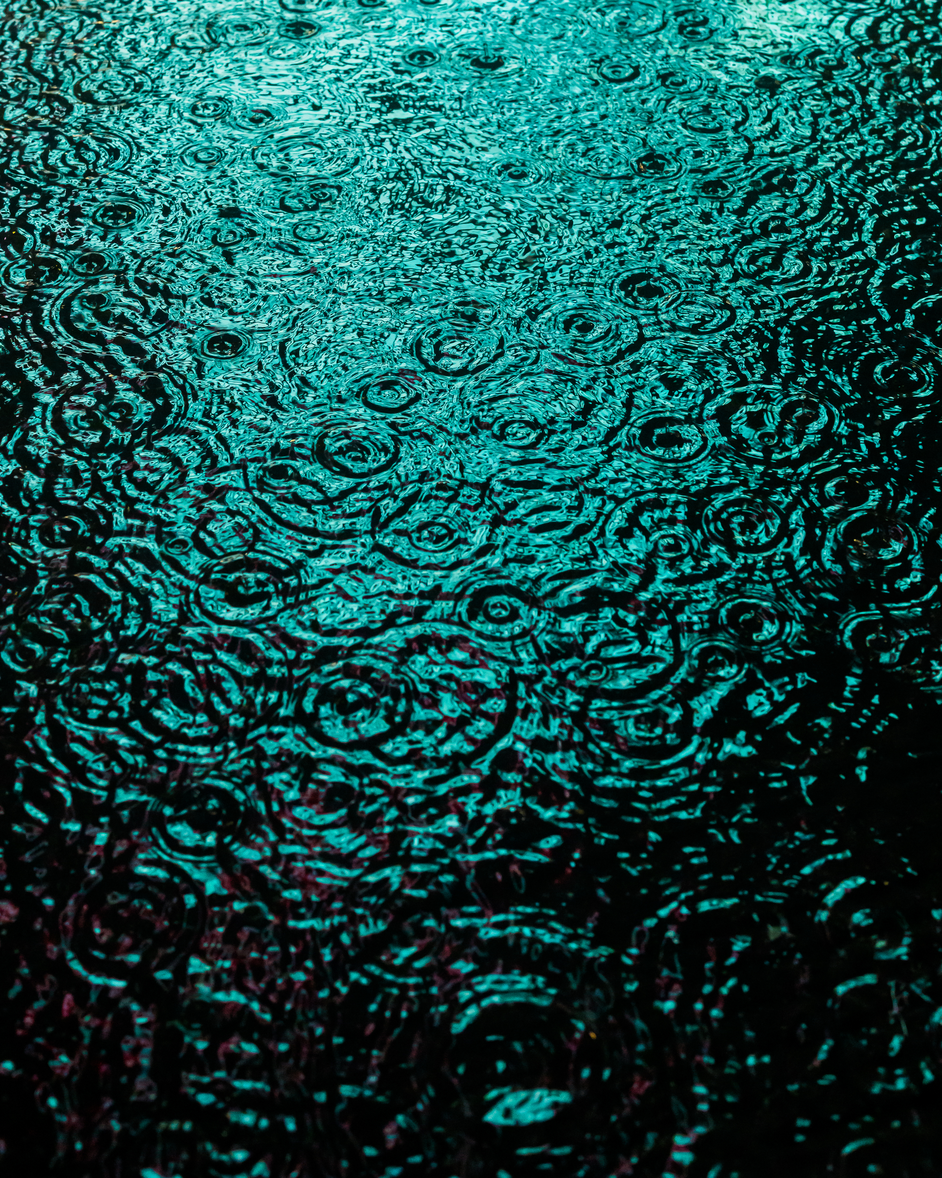 DRIP #189