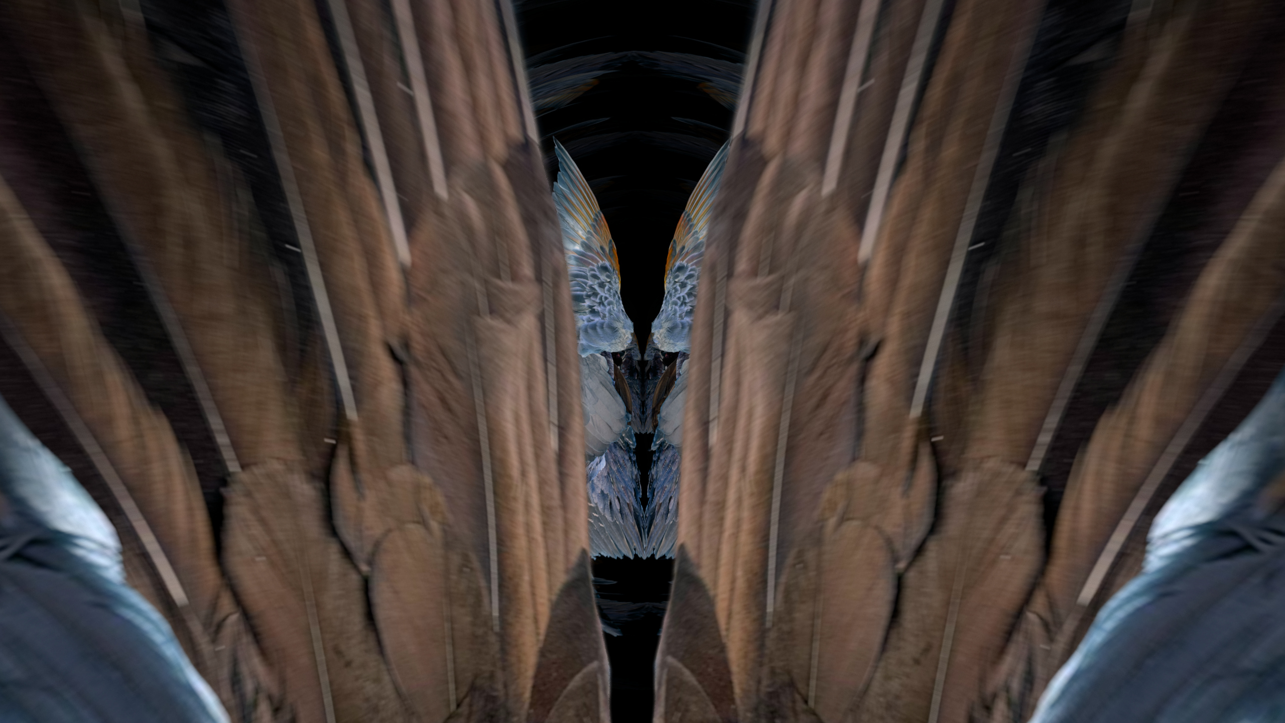 Fuga delle Sirene XXXIX