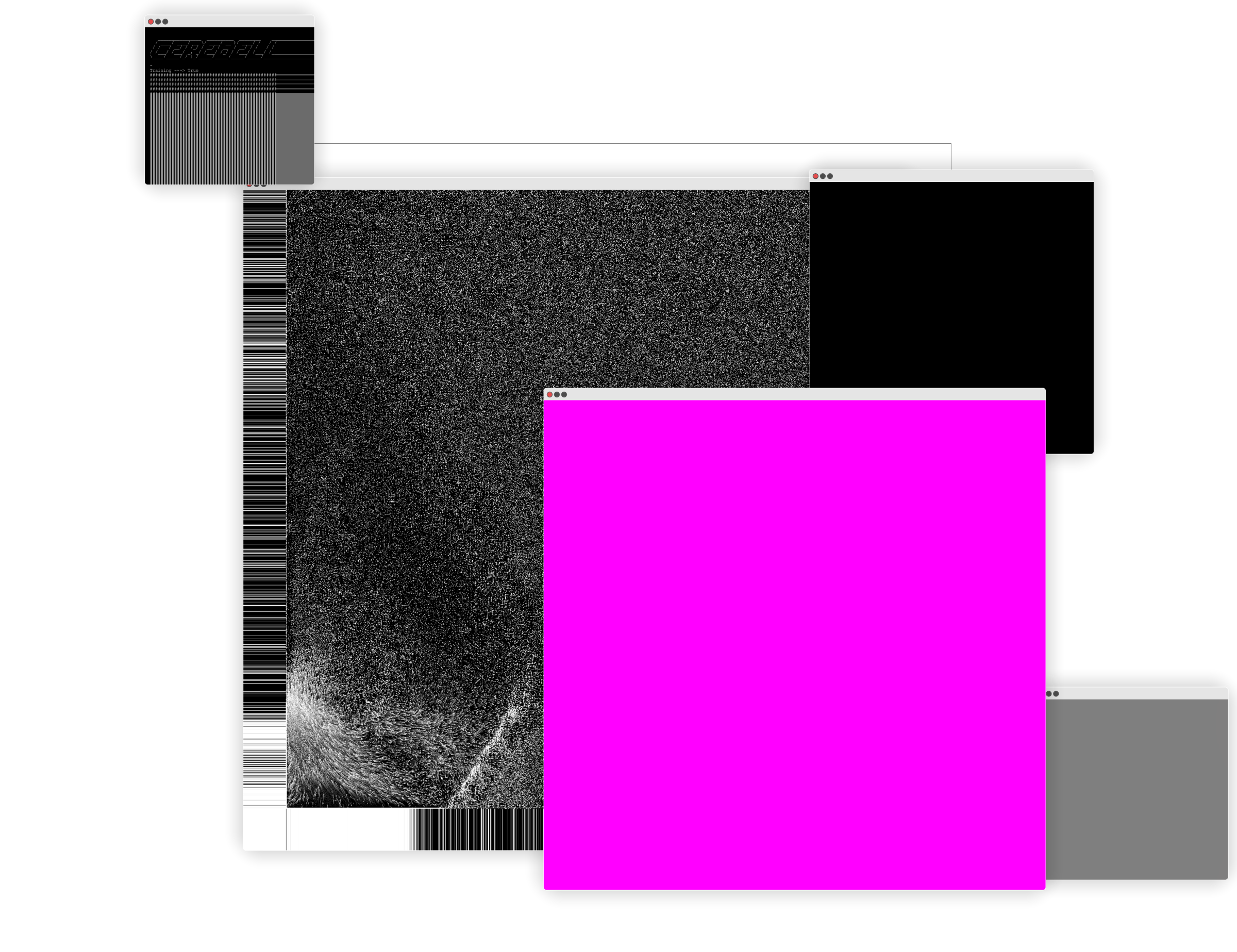Cerebellum #253