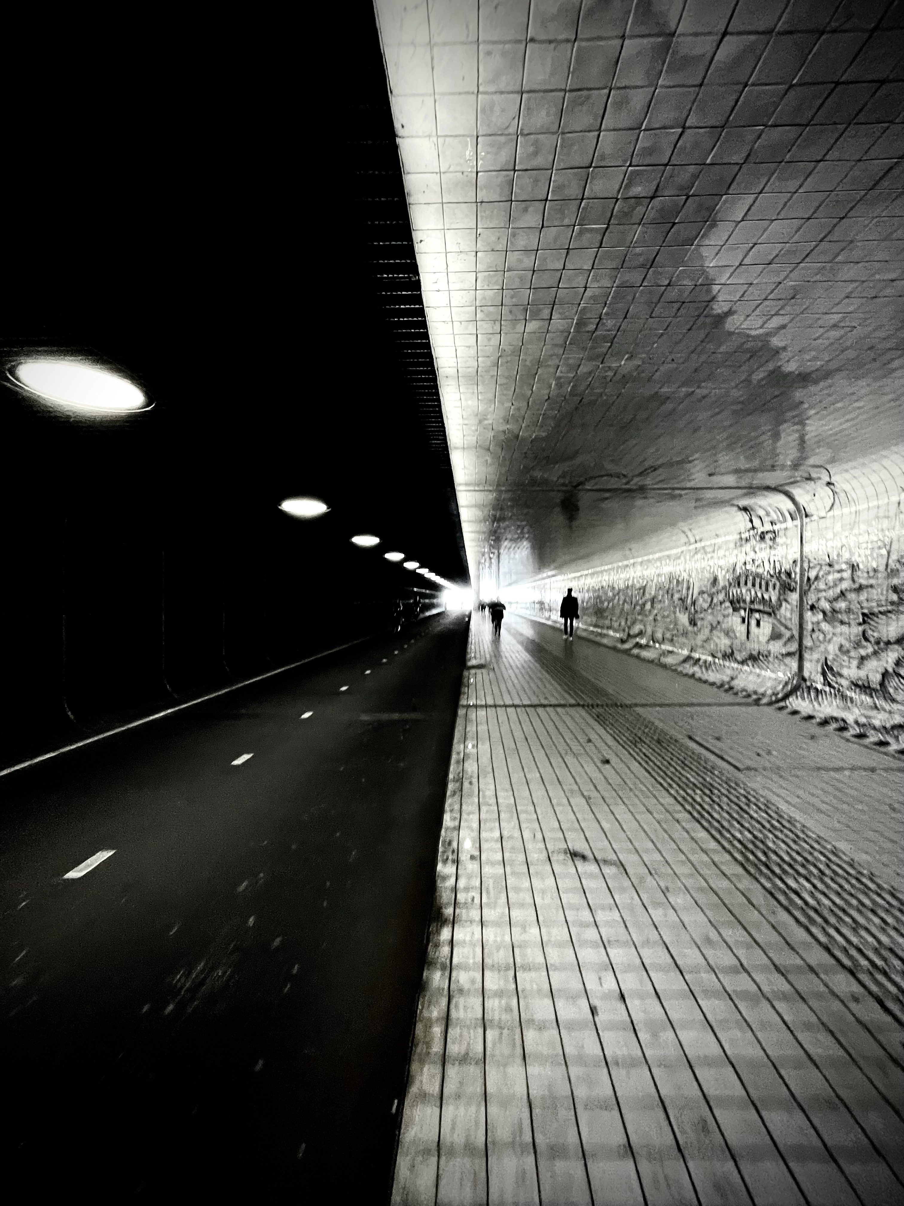 monochrome abduction