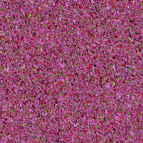 Forever Rug #210 - Animal Shelter: Focused