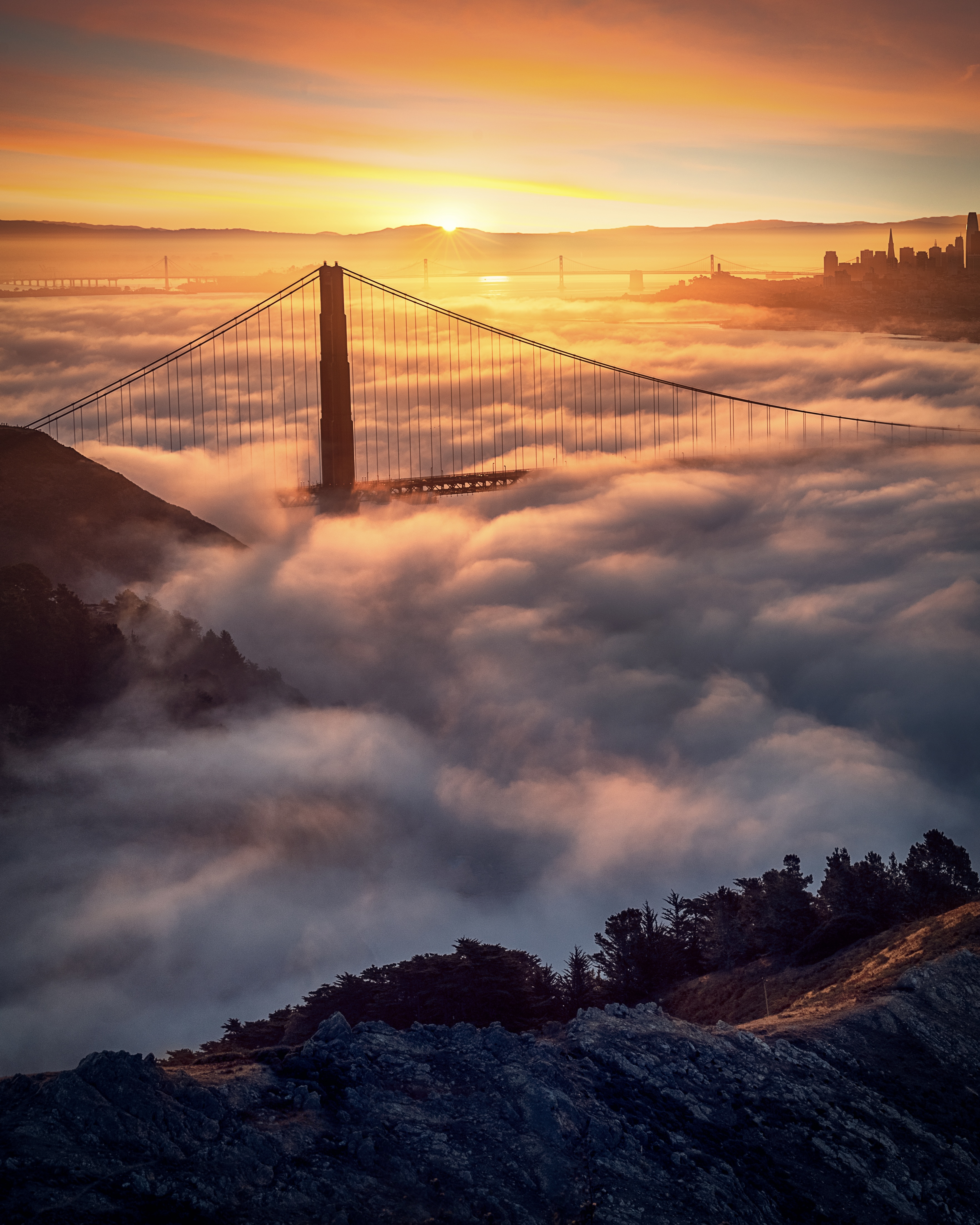 Star of the Golden Gate