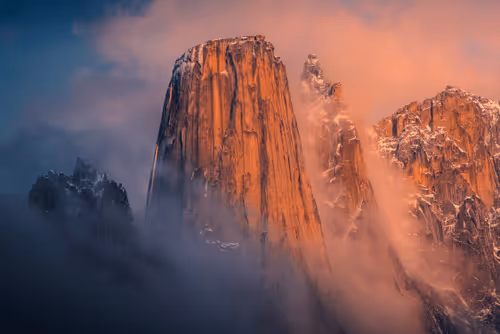 Wilderness to Blockchain #47 - Giants of the North