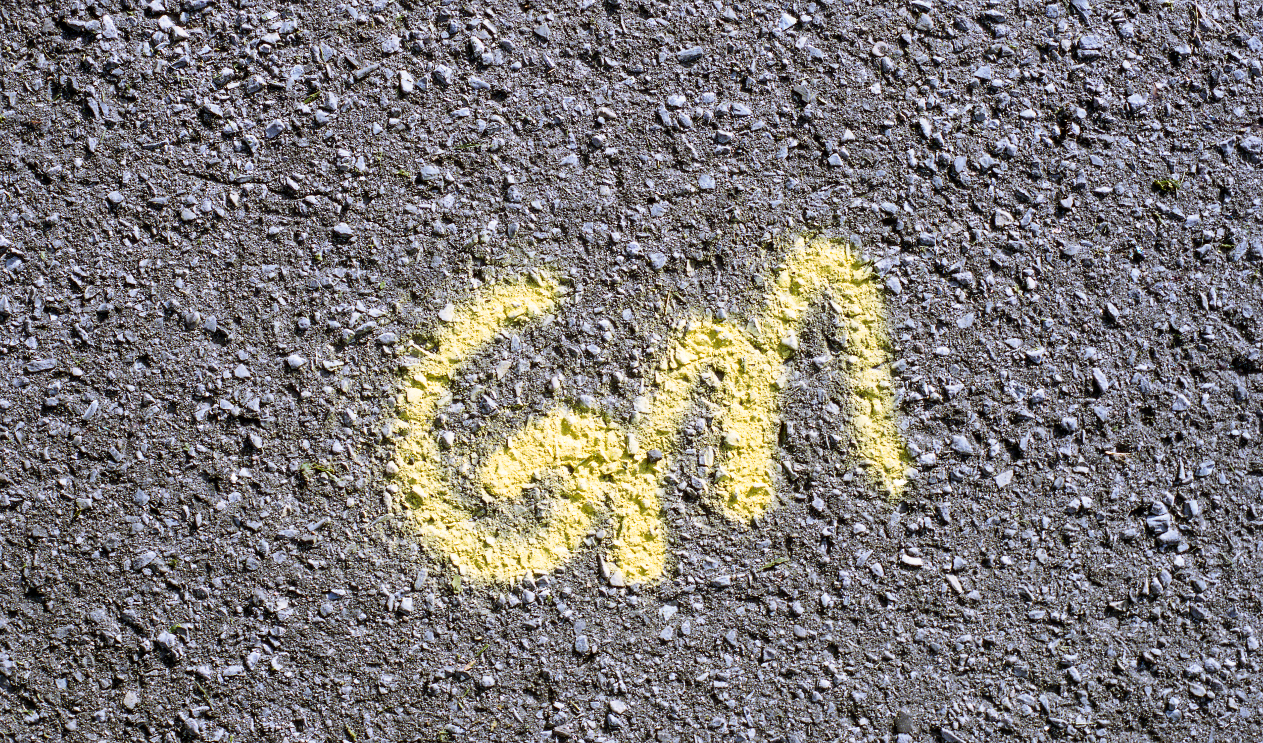 GM No. 8