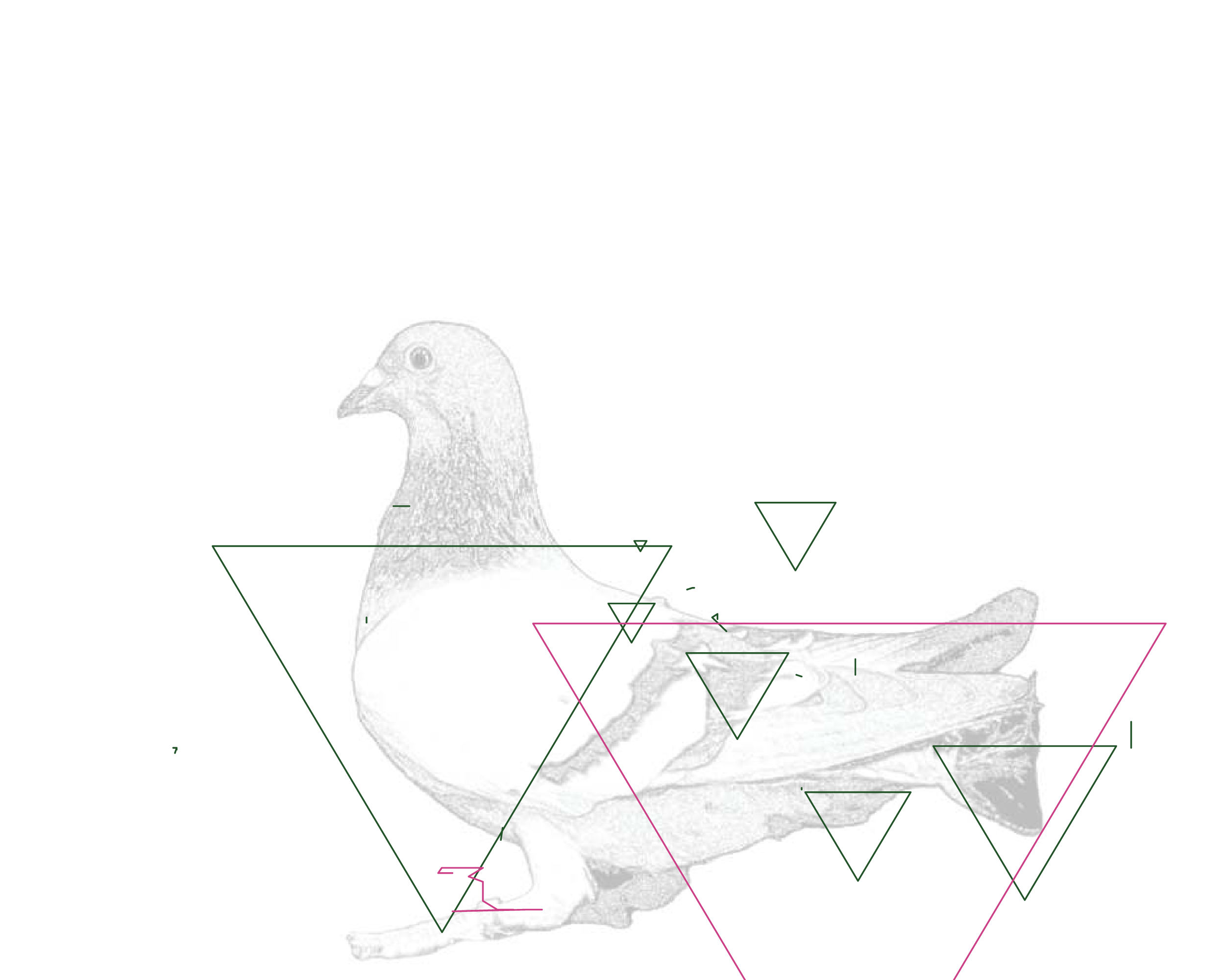 P01.002