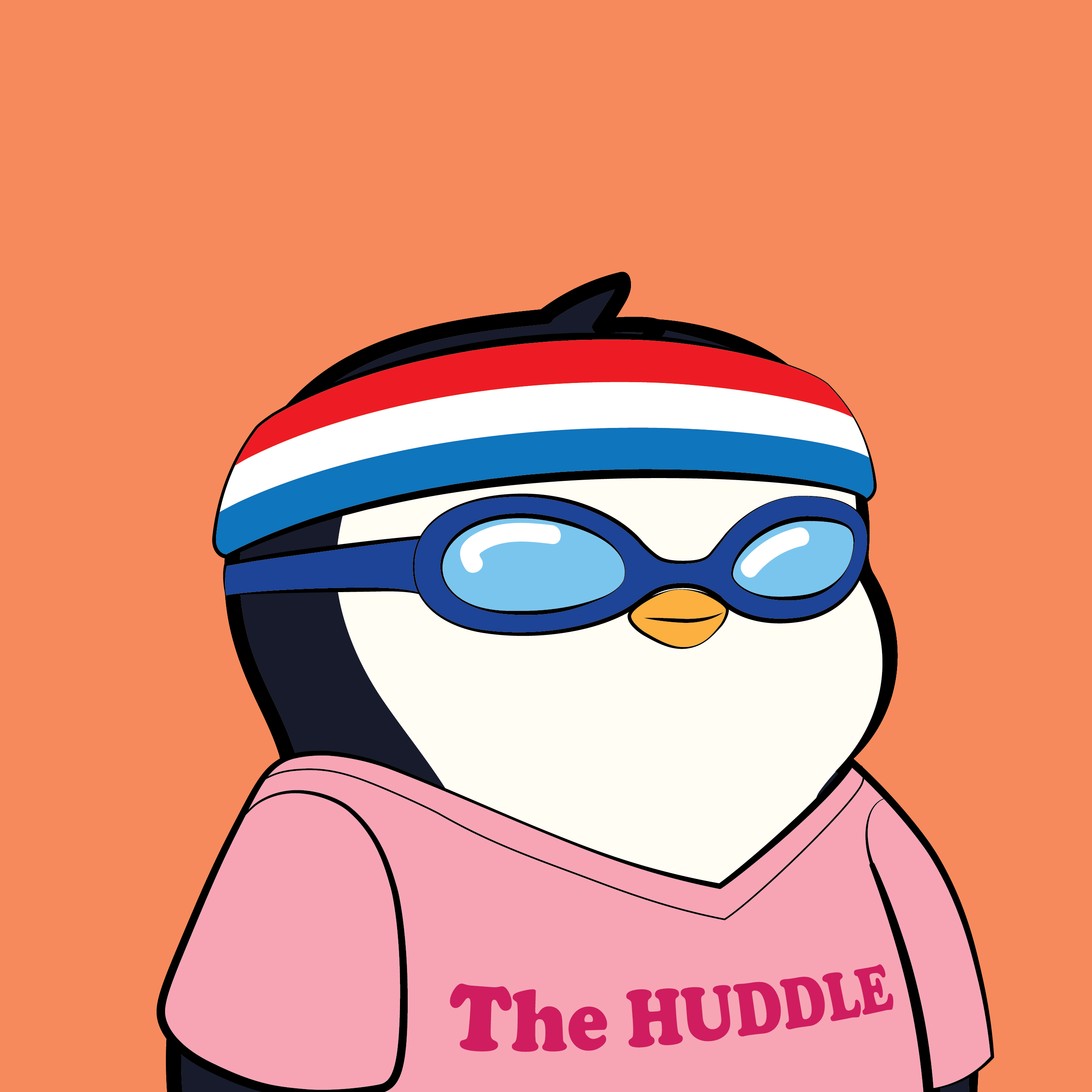 Pudgy #8058