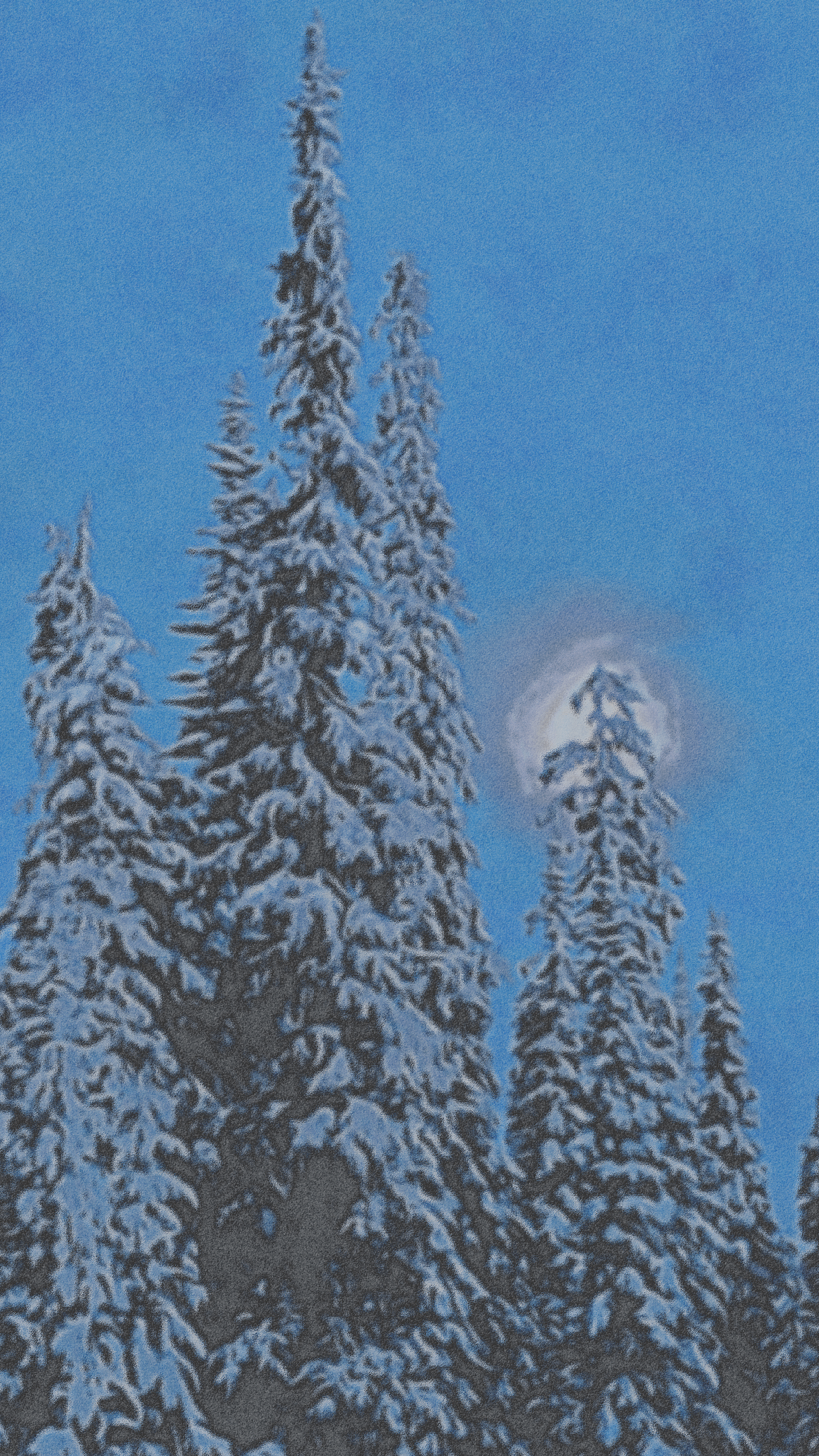 wintermoon