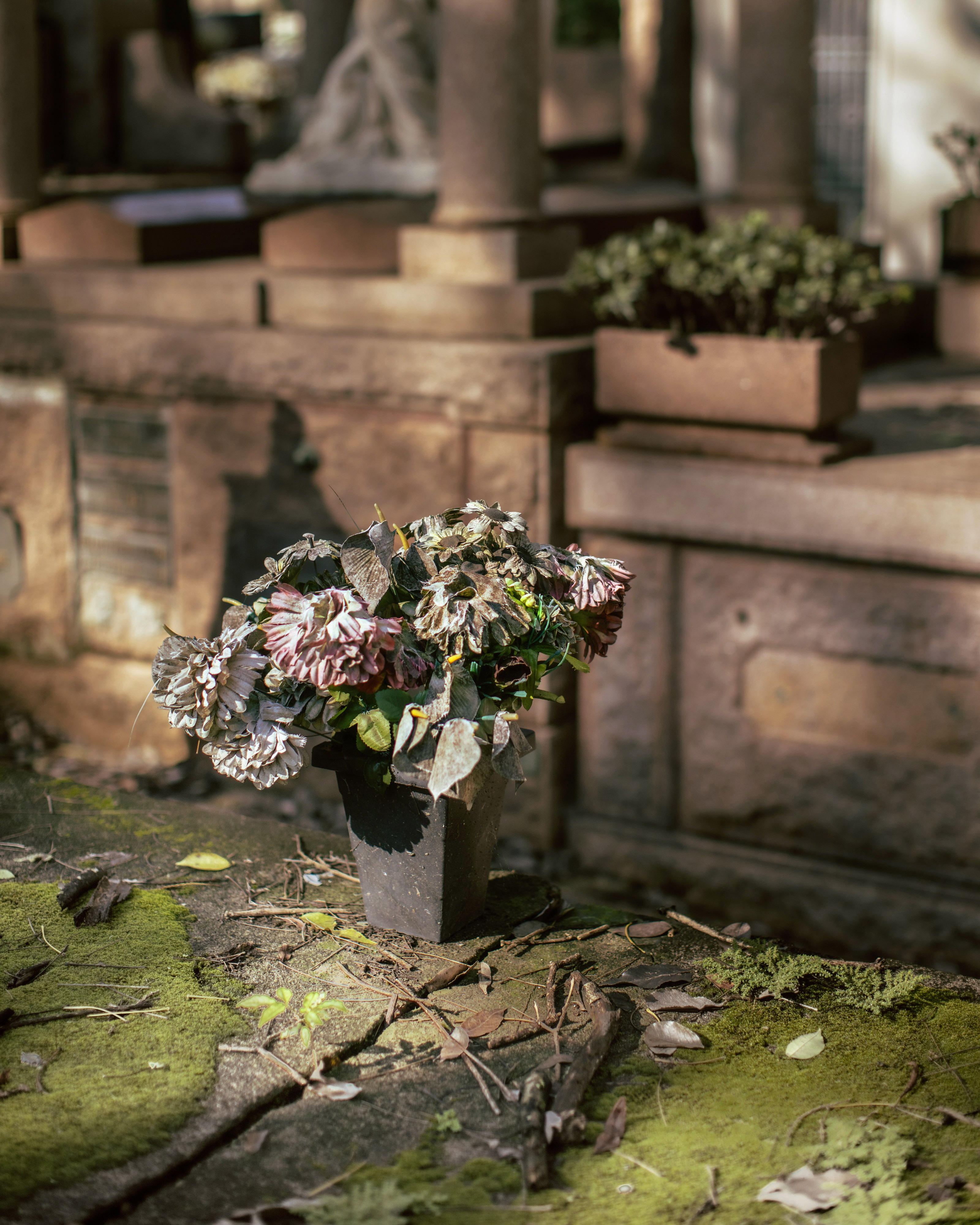 Desconstructo - Flowers for the dead 04