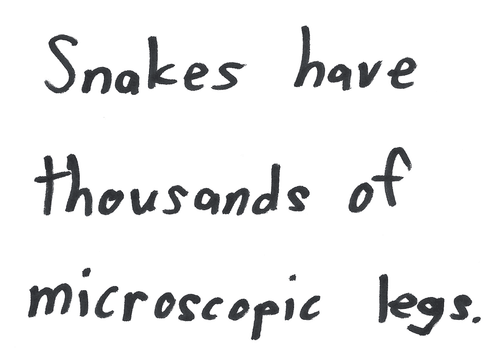 Low Quality Fact #260