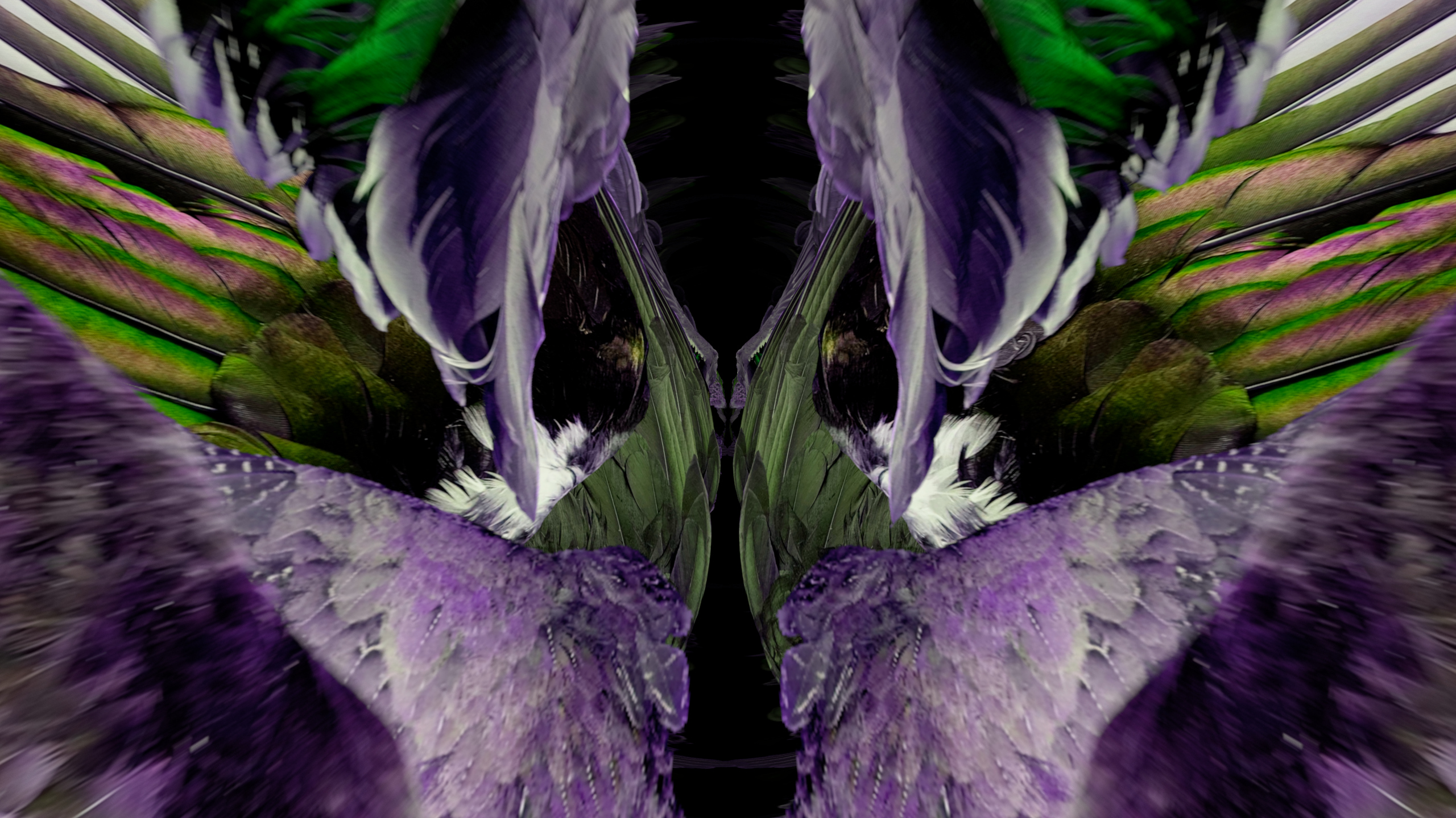 Fuga delle Sirene XCI