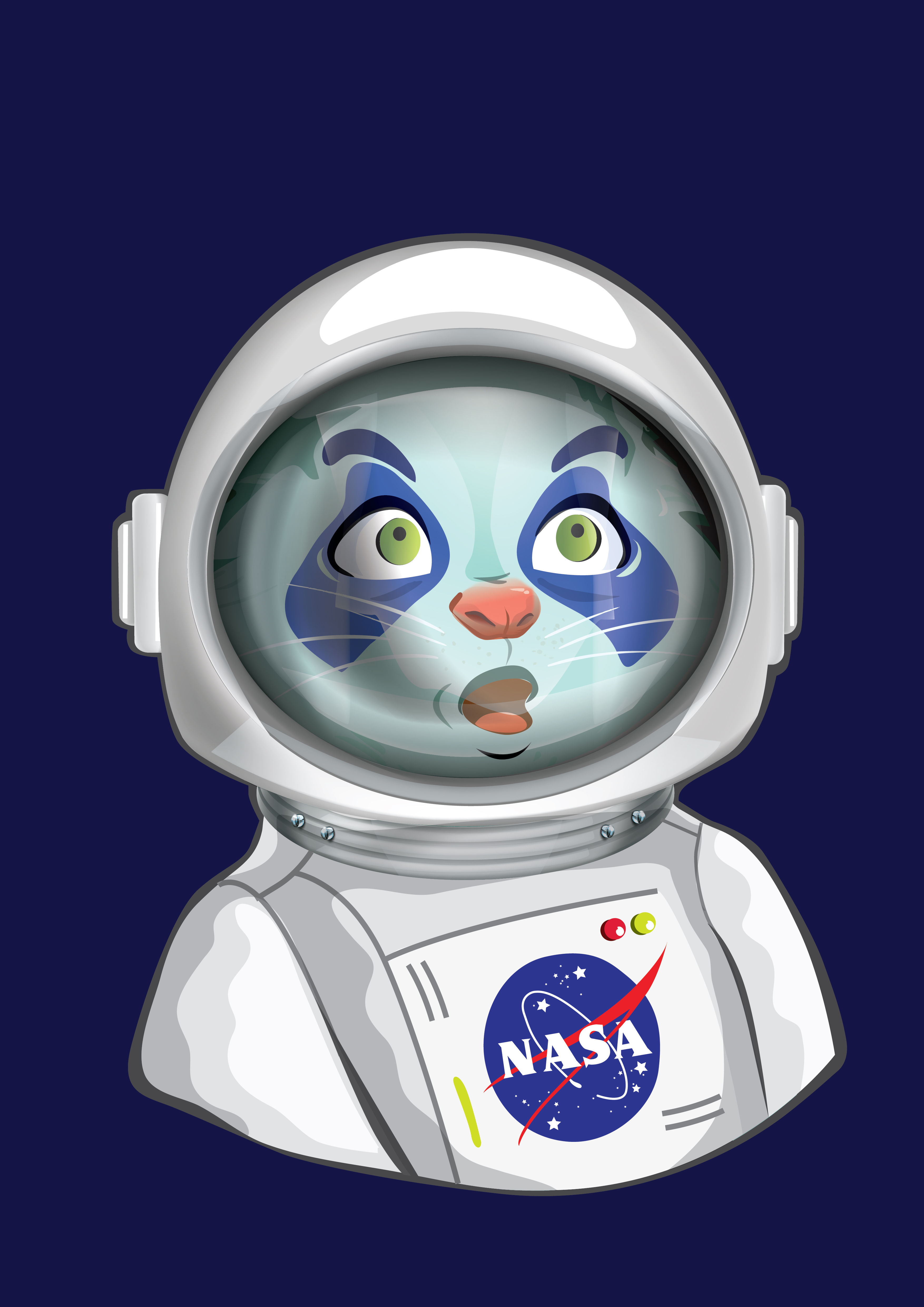 Raccoon-012
