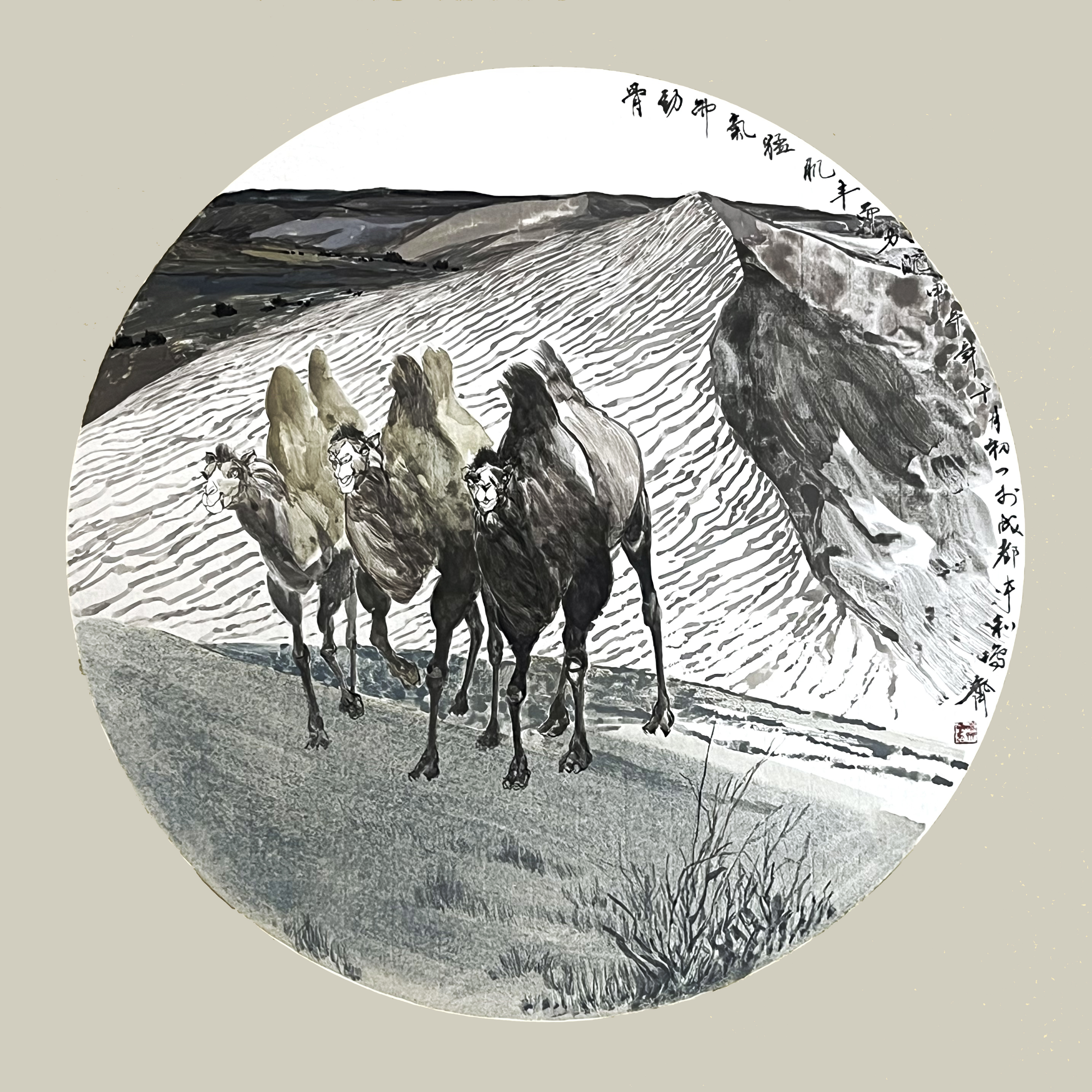 With bones of strength and spirit fierce, it treads the sand’s expanse,