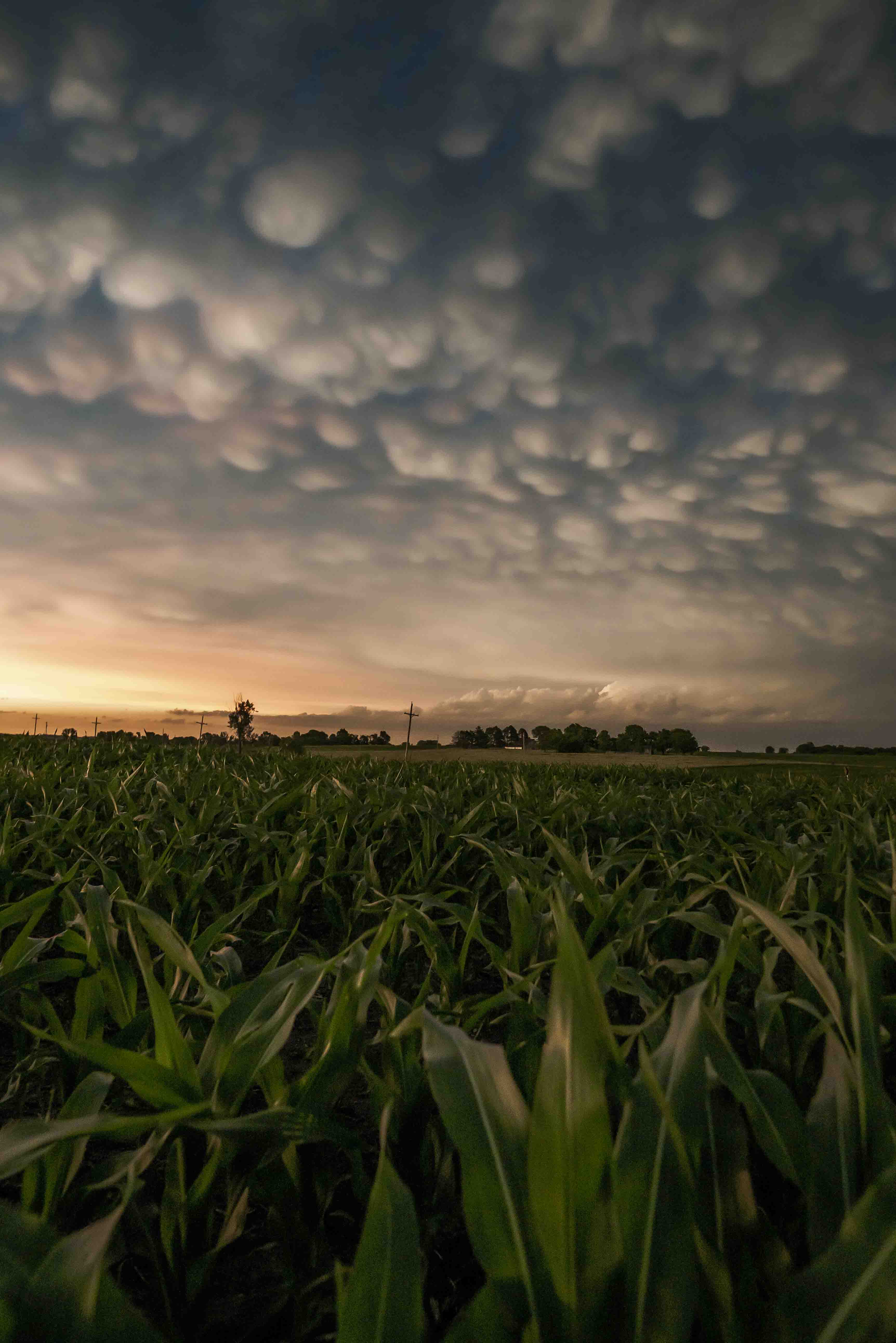 Angry Skies 