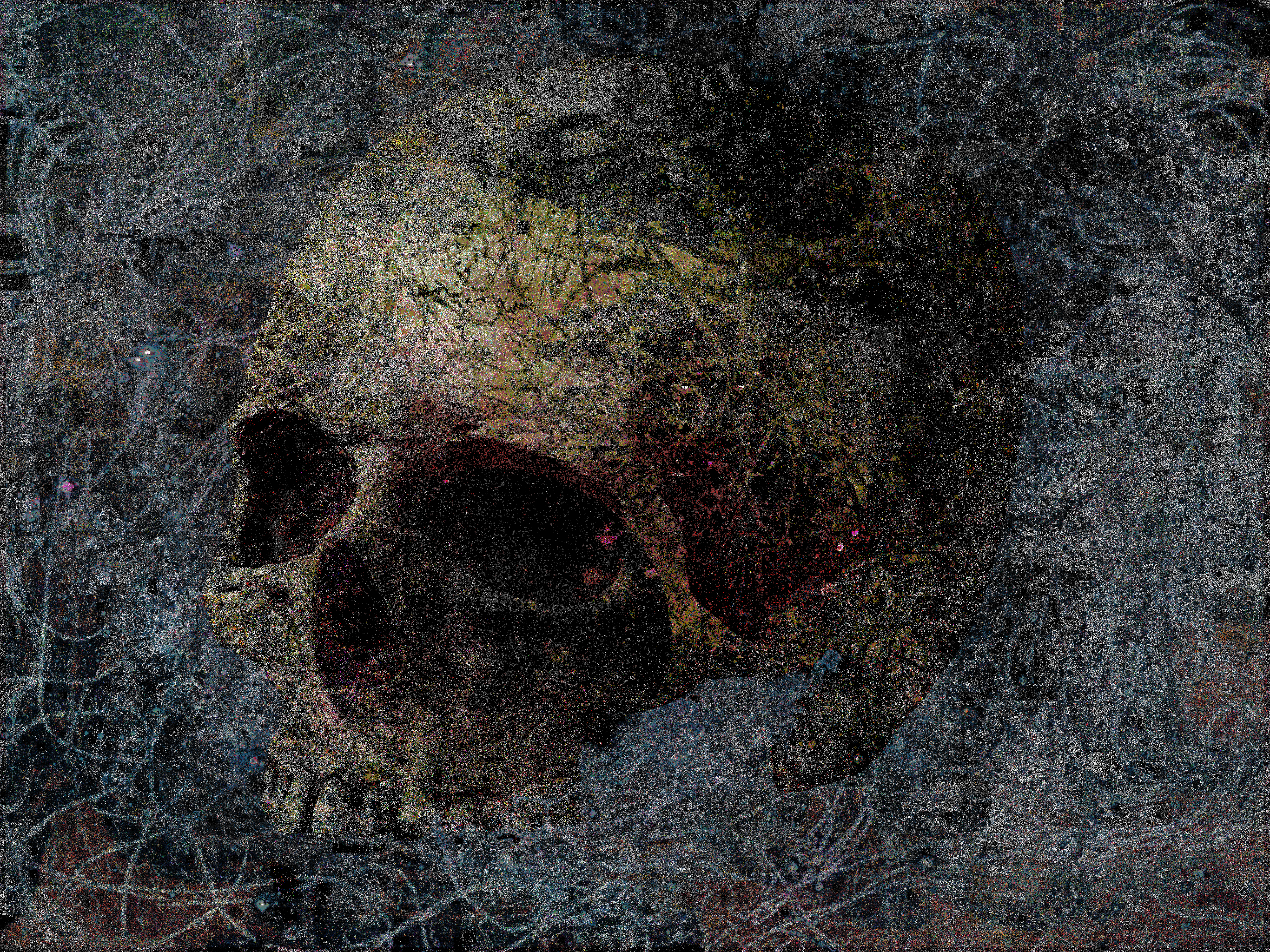 eventual self portrait #47