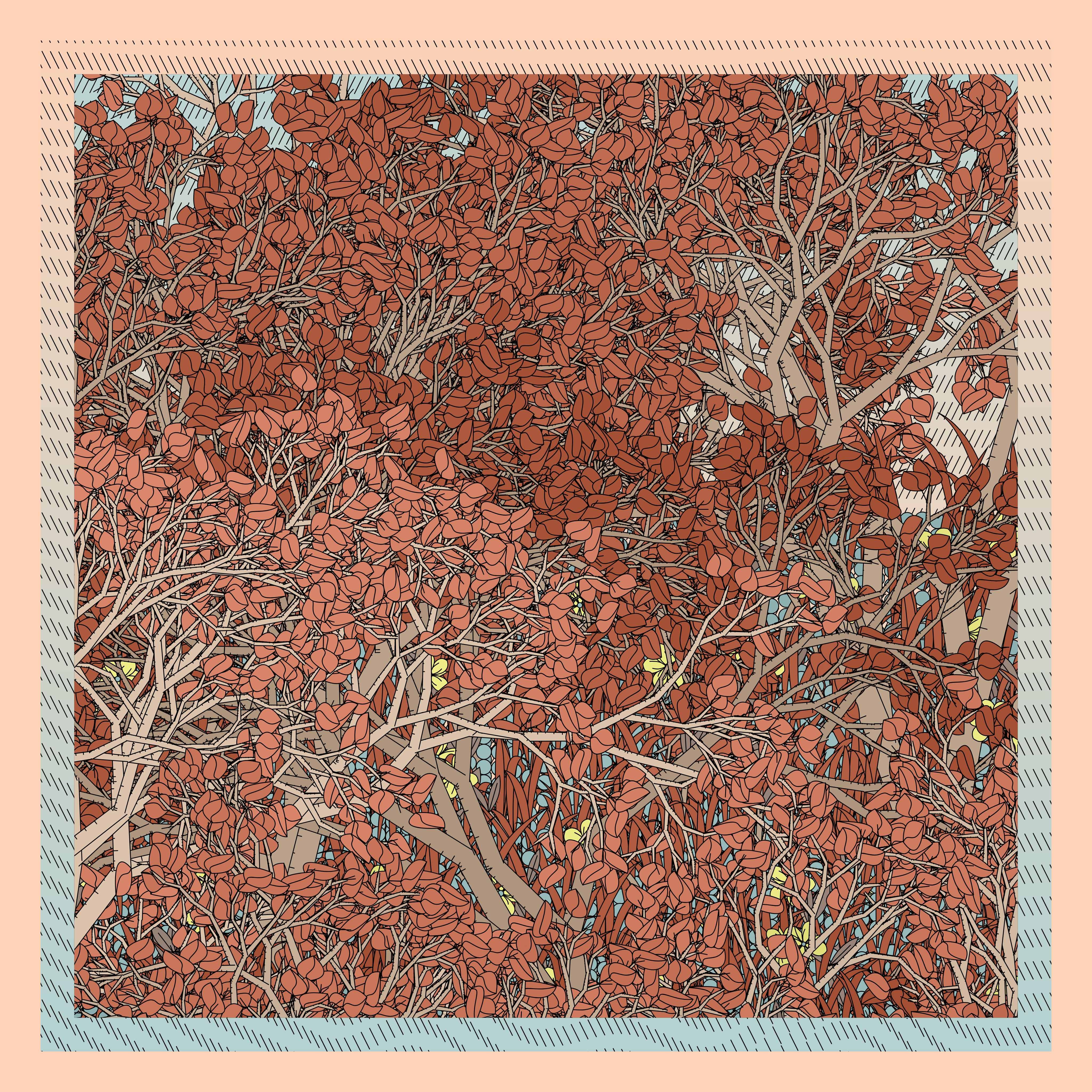 Entangled #323