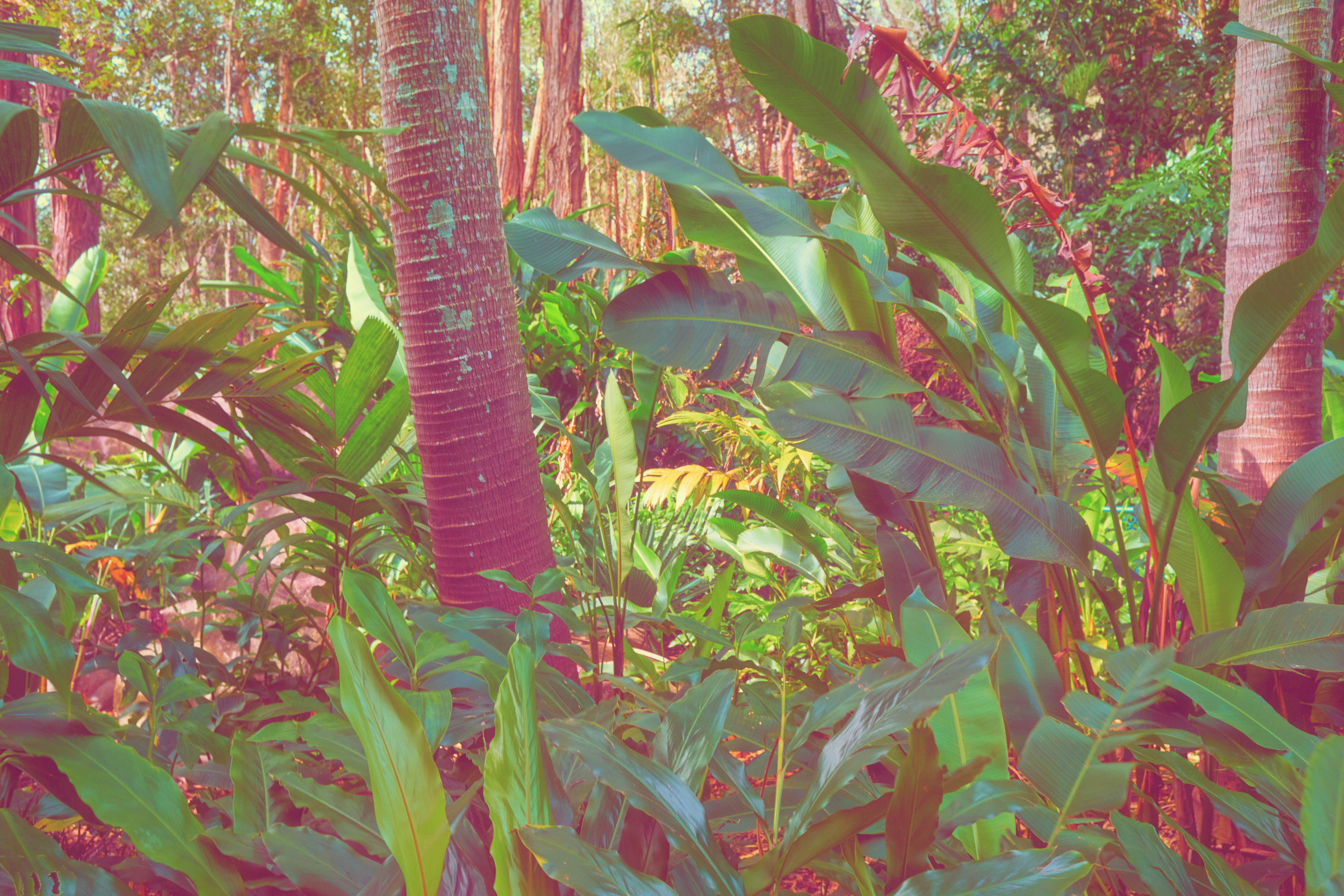 LOST // RANDOMLY ACCESSED MEMORIES 01