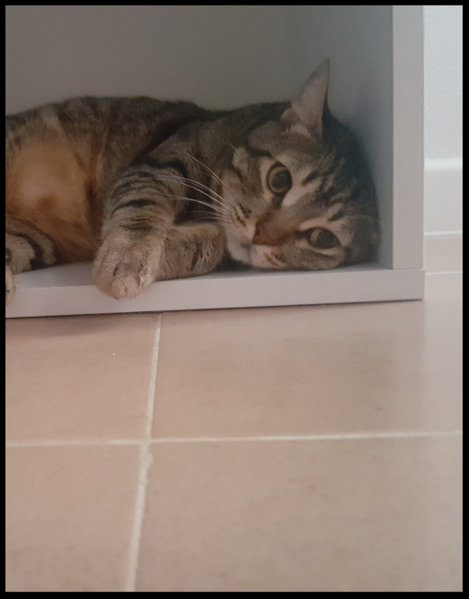 Bob is thinking