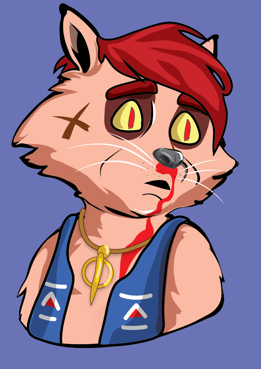 Raccoon-331