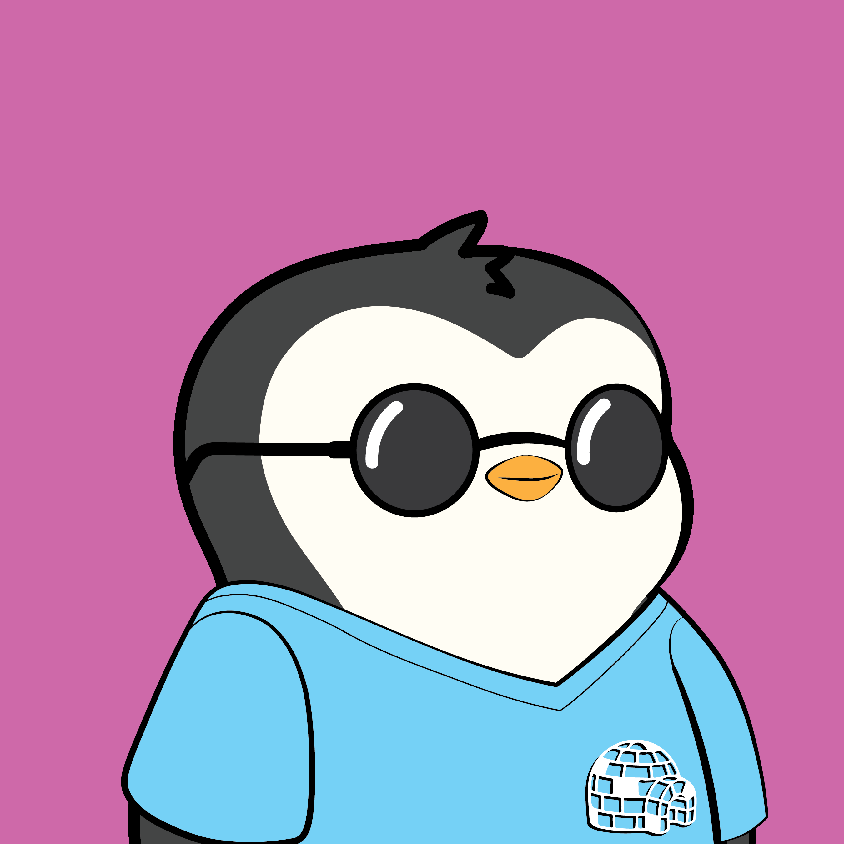 Pudgy #7707