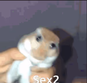 sex2