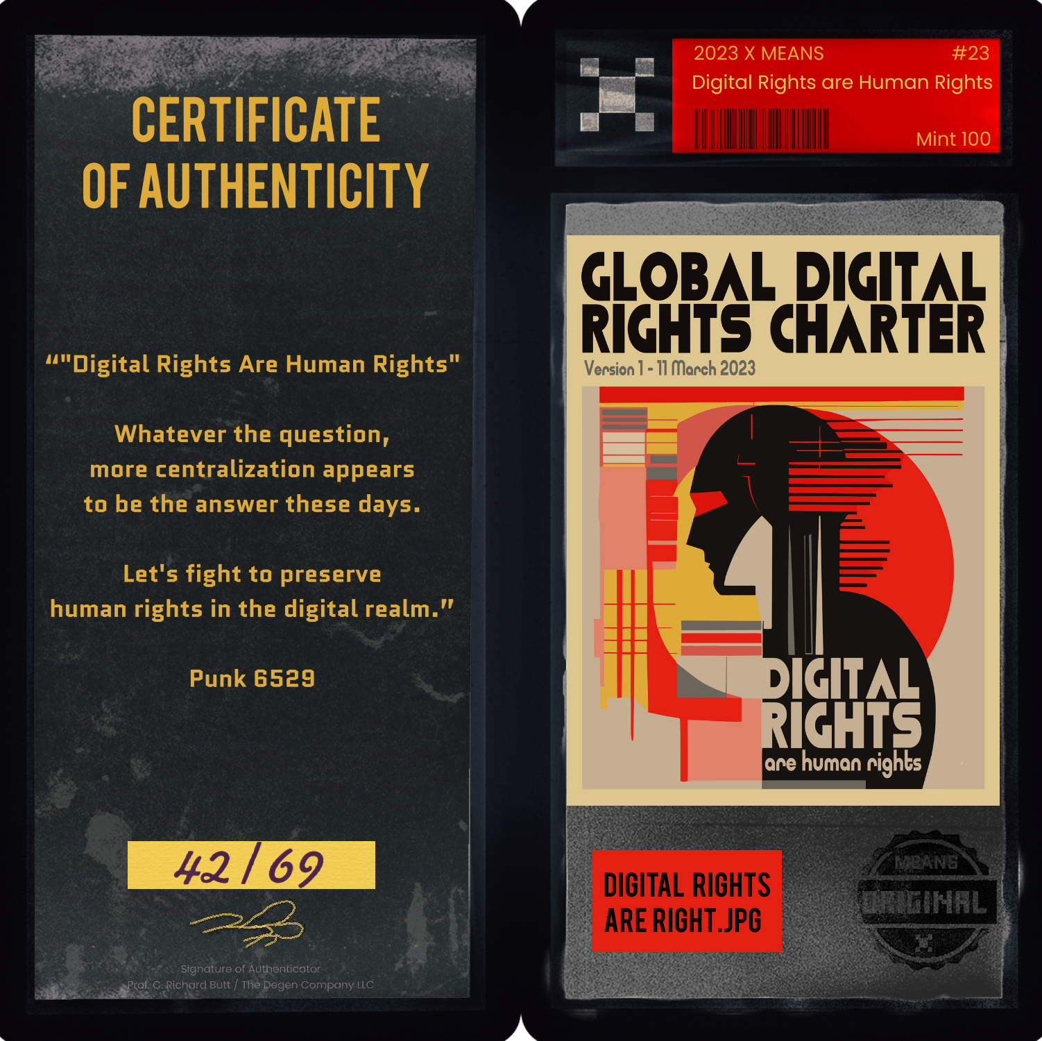 Digital Rights are Human Rights