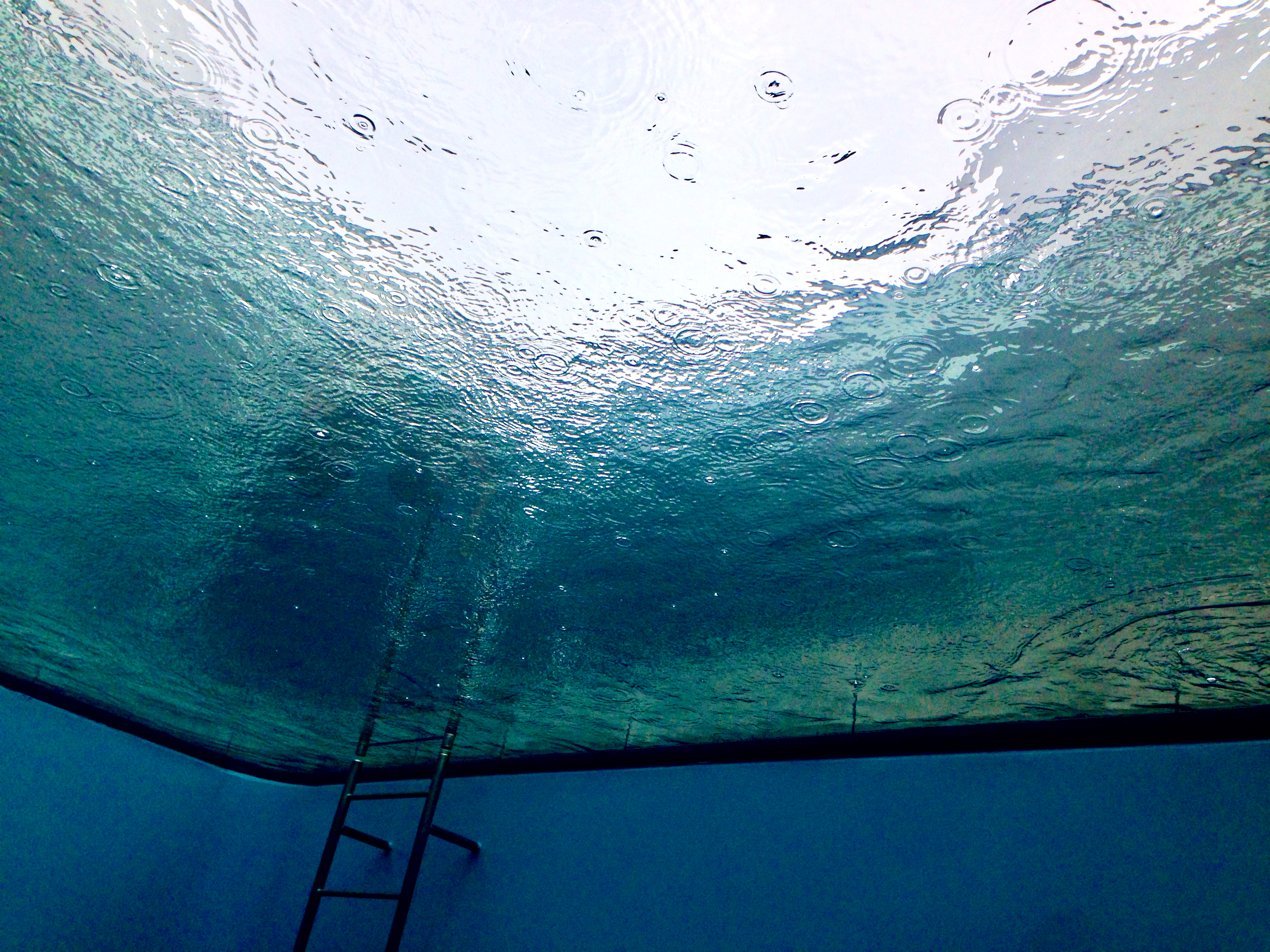 CS Community Collection #73