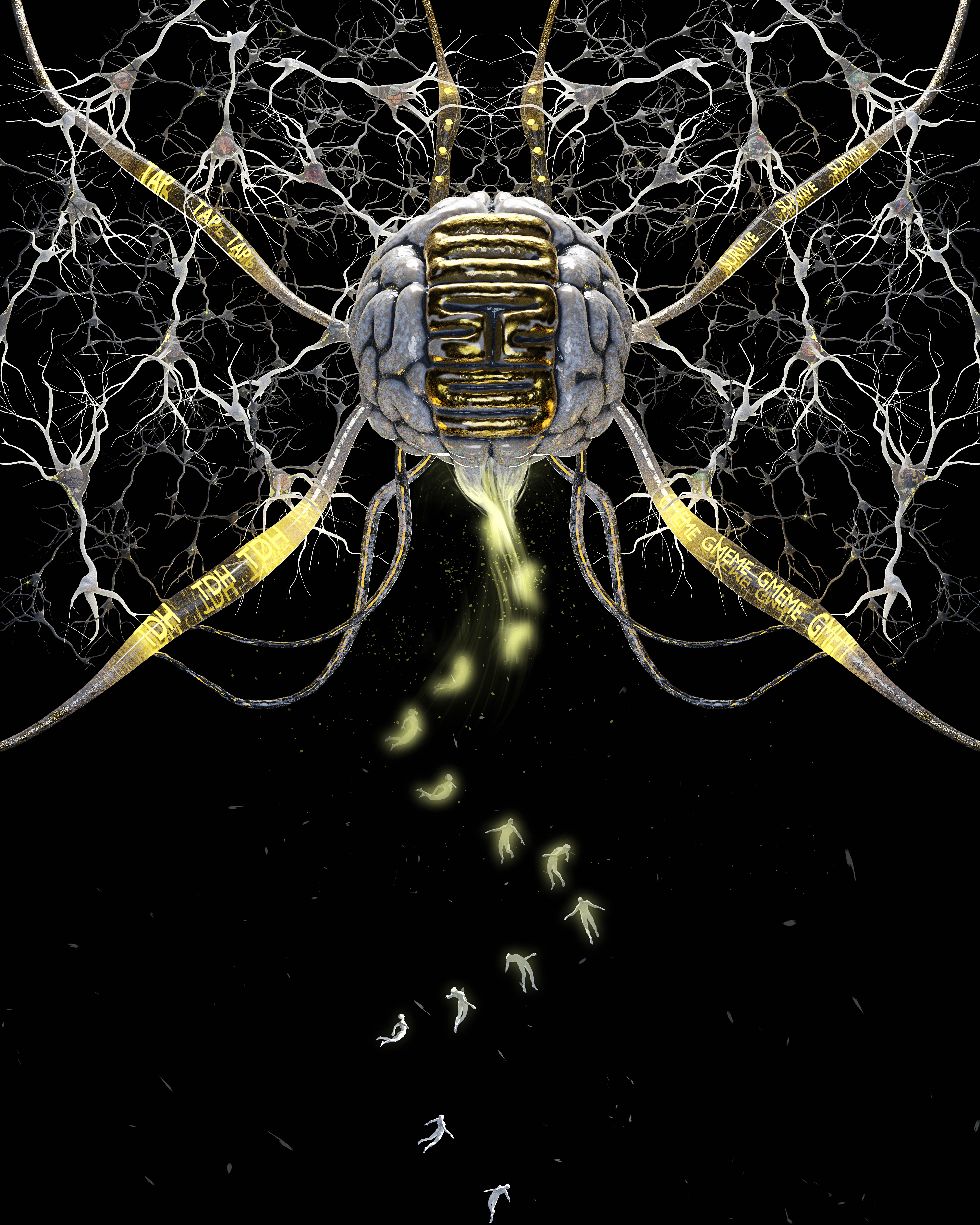 Neural Nexus