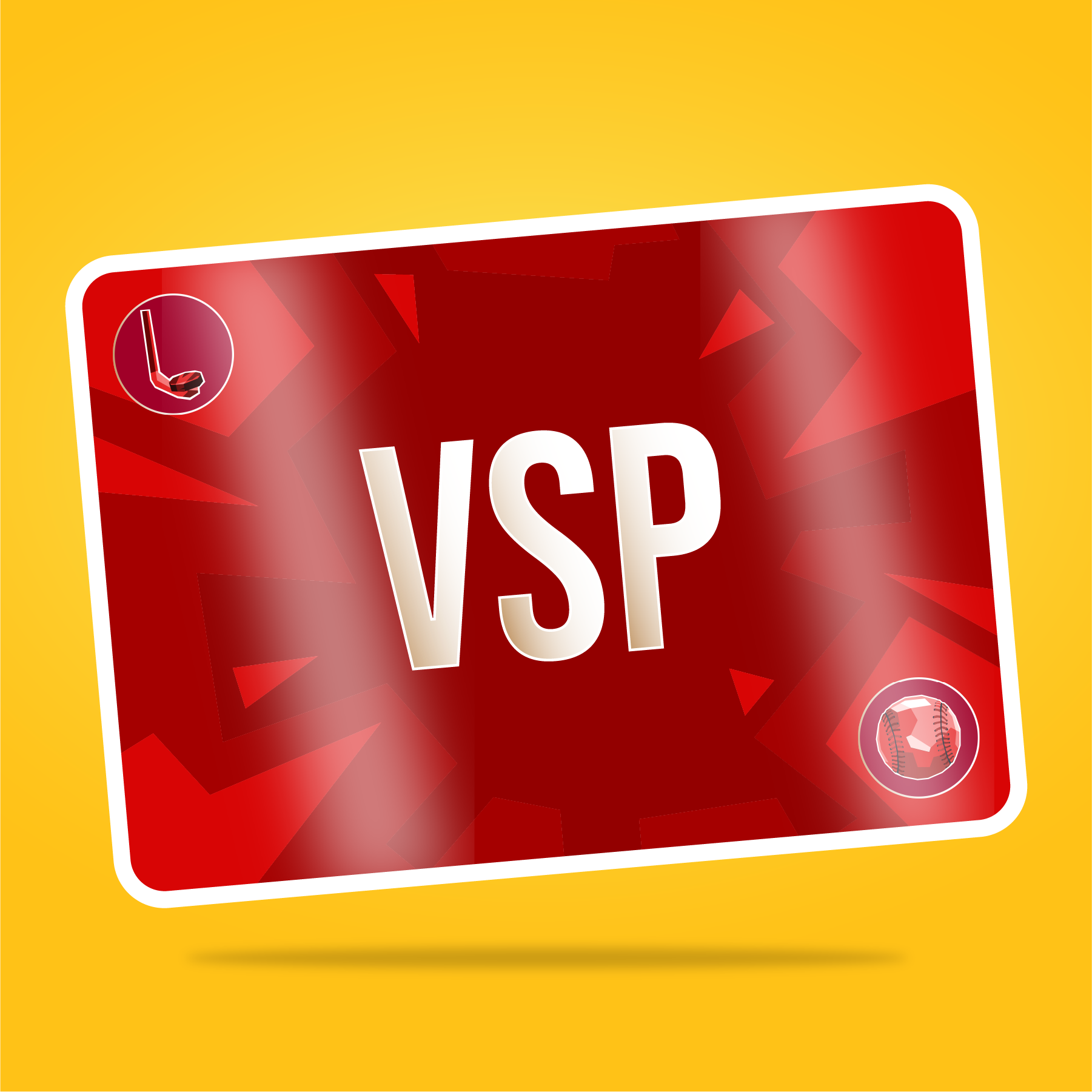 VaynerSports Pass #14593