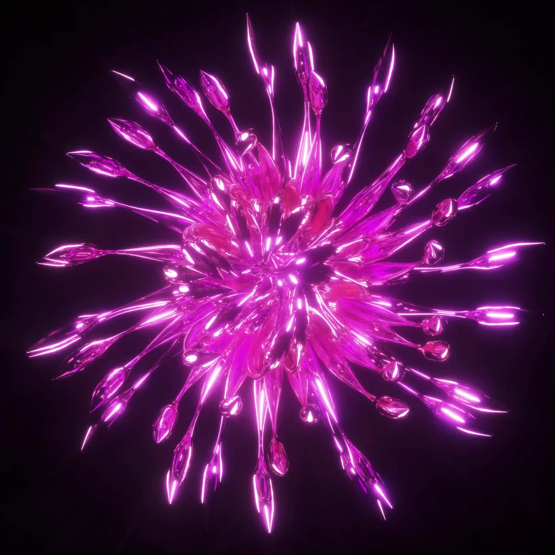 BLOOM #4/44