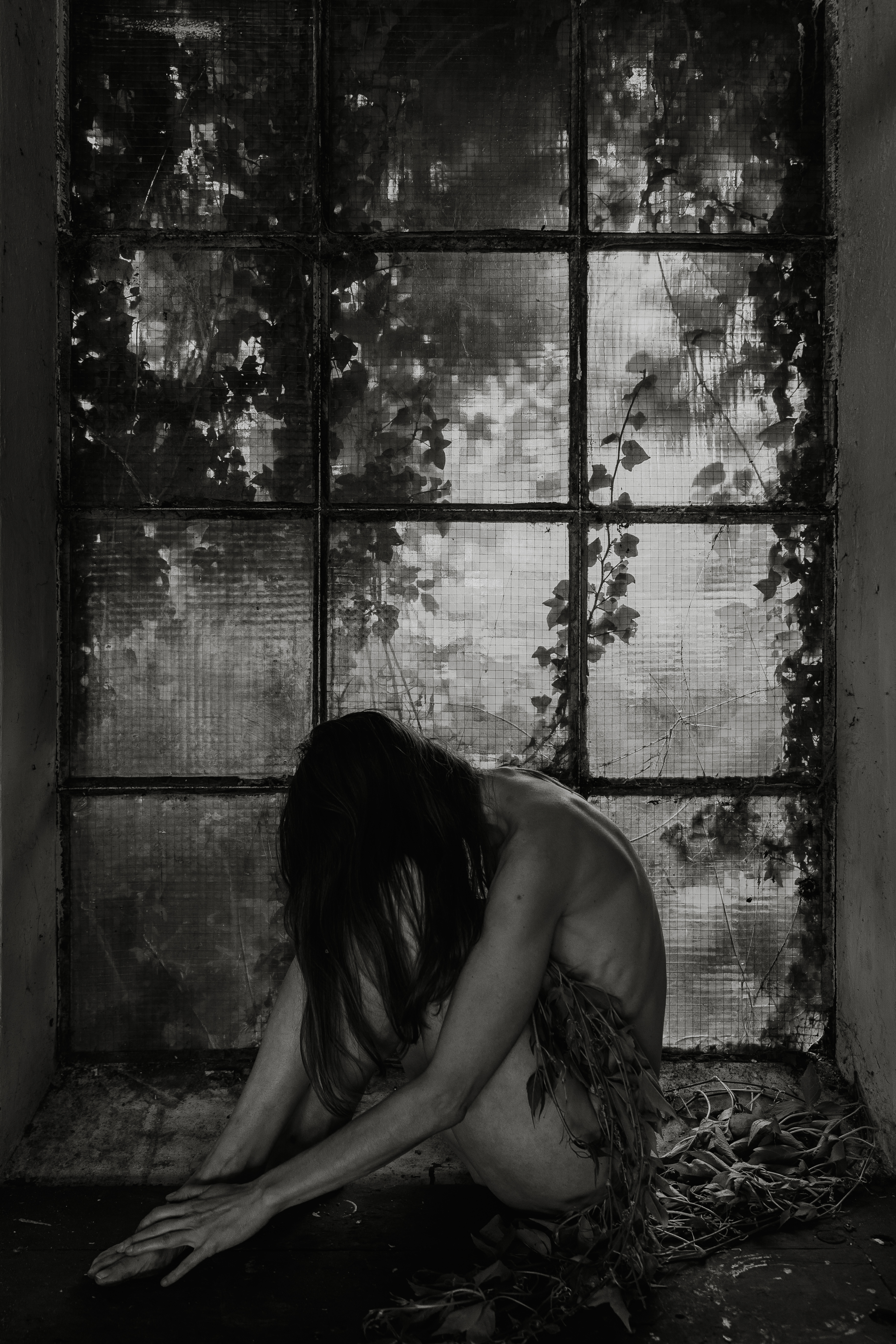 Nature's Remembrance 11