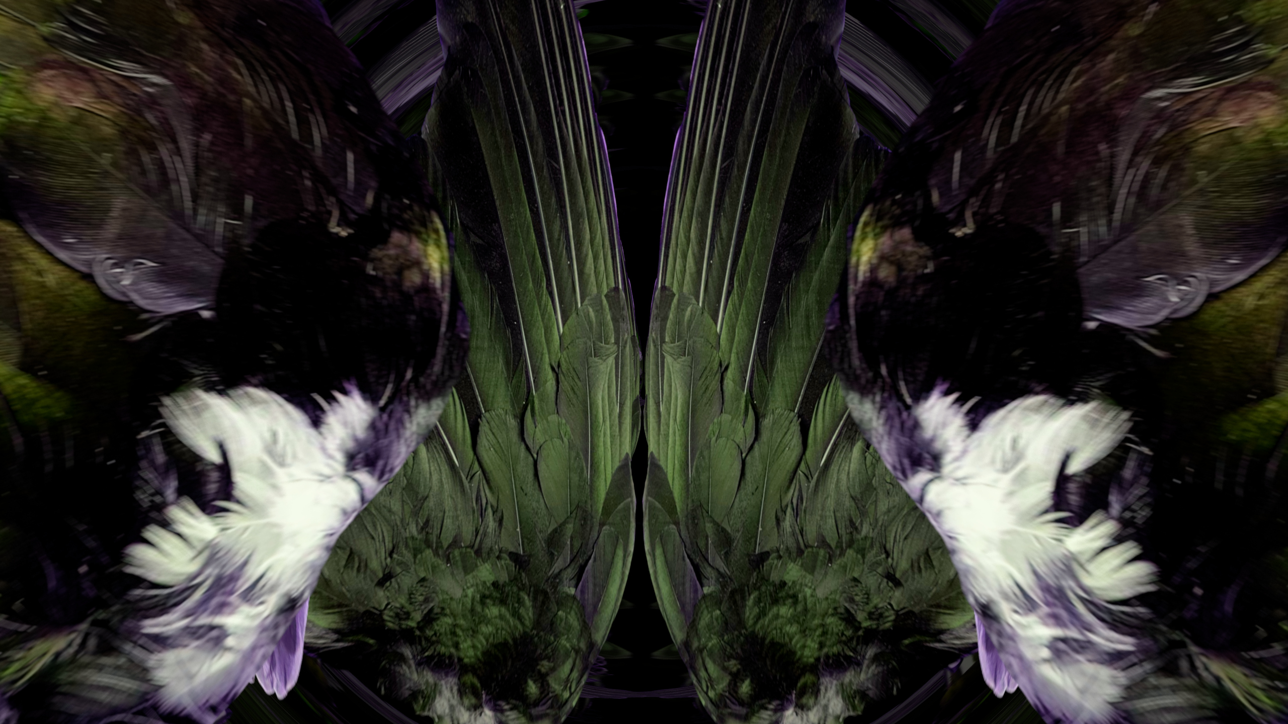 Fuga delle Sirene XCV