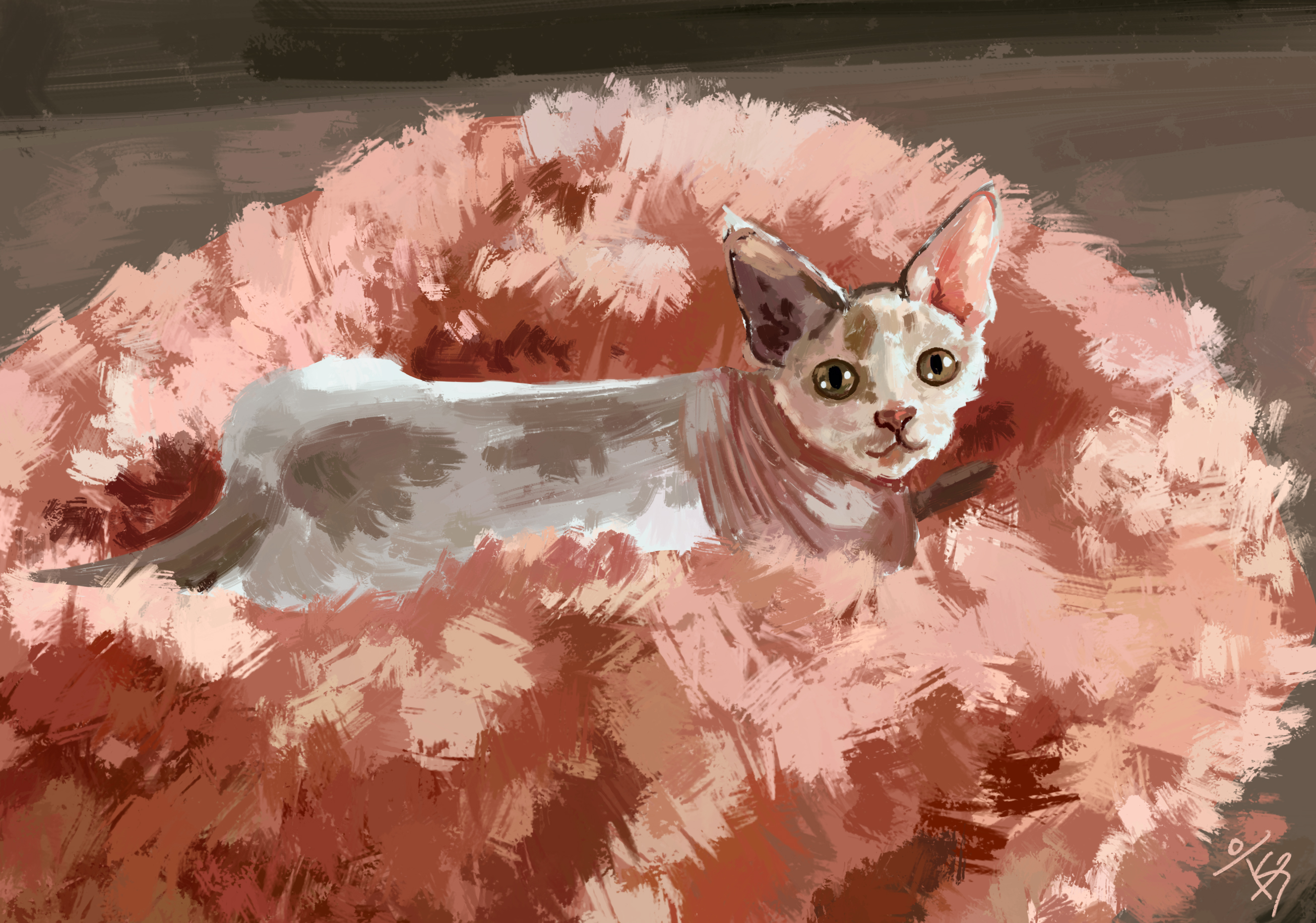 Comfy Princess