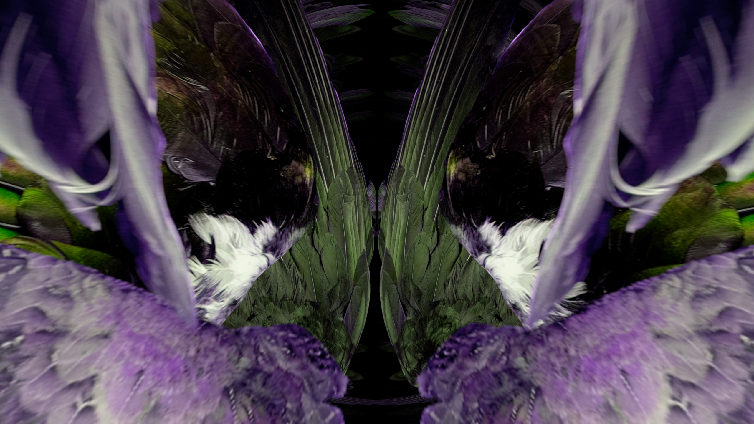 Fuga delle Sirene XCIII