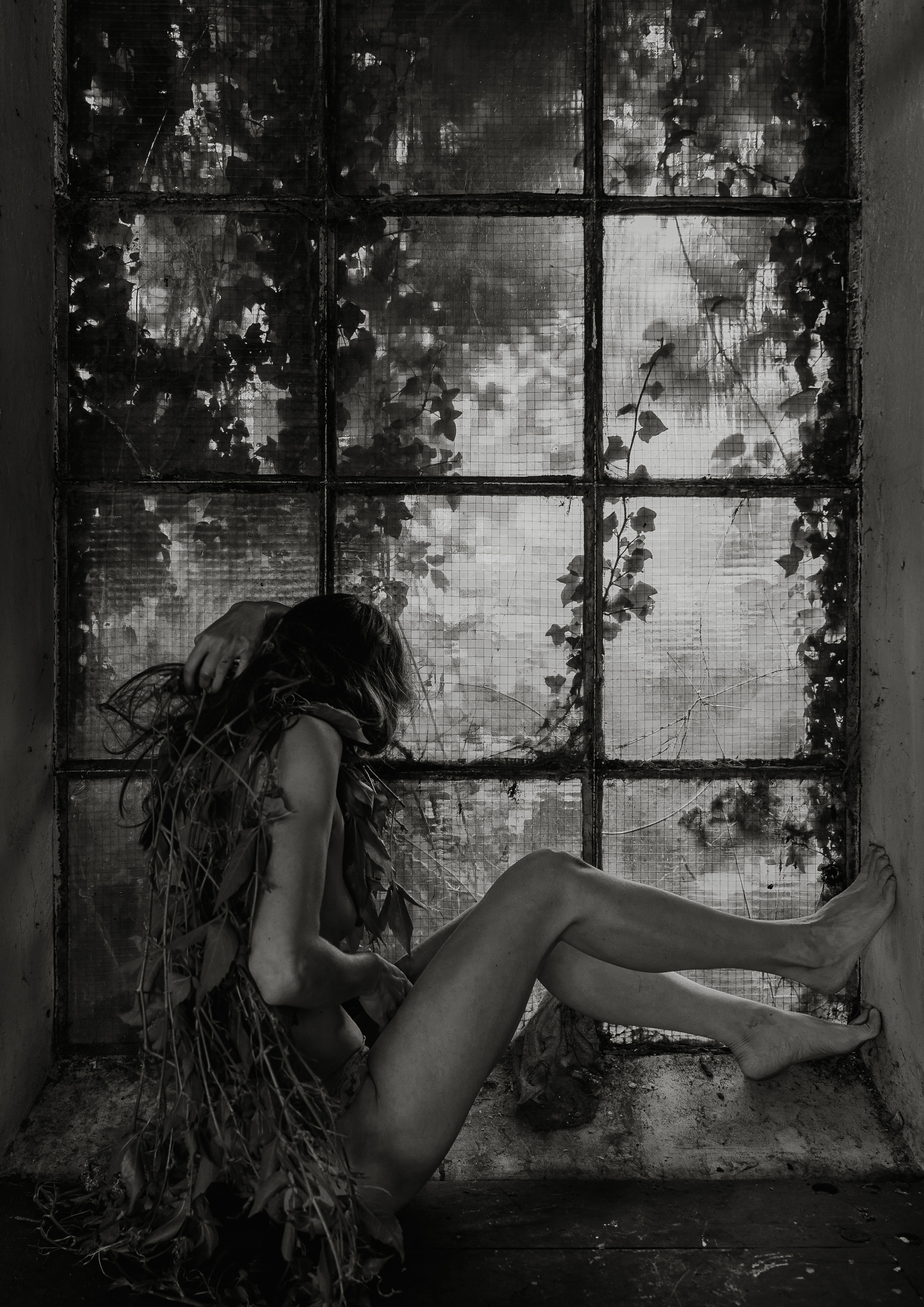 Nature's Remembrance 9