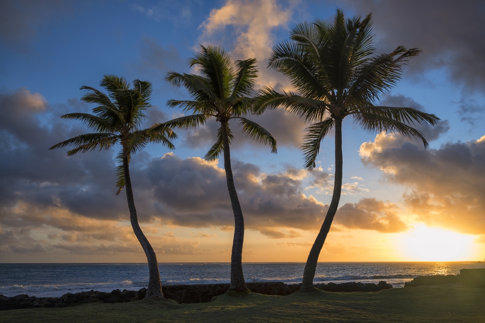 Hawaii Sunrise