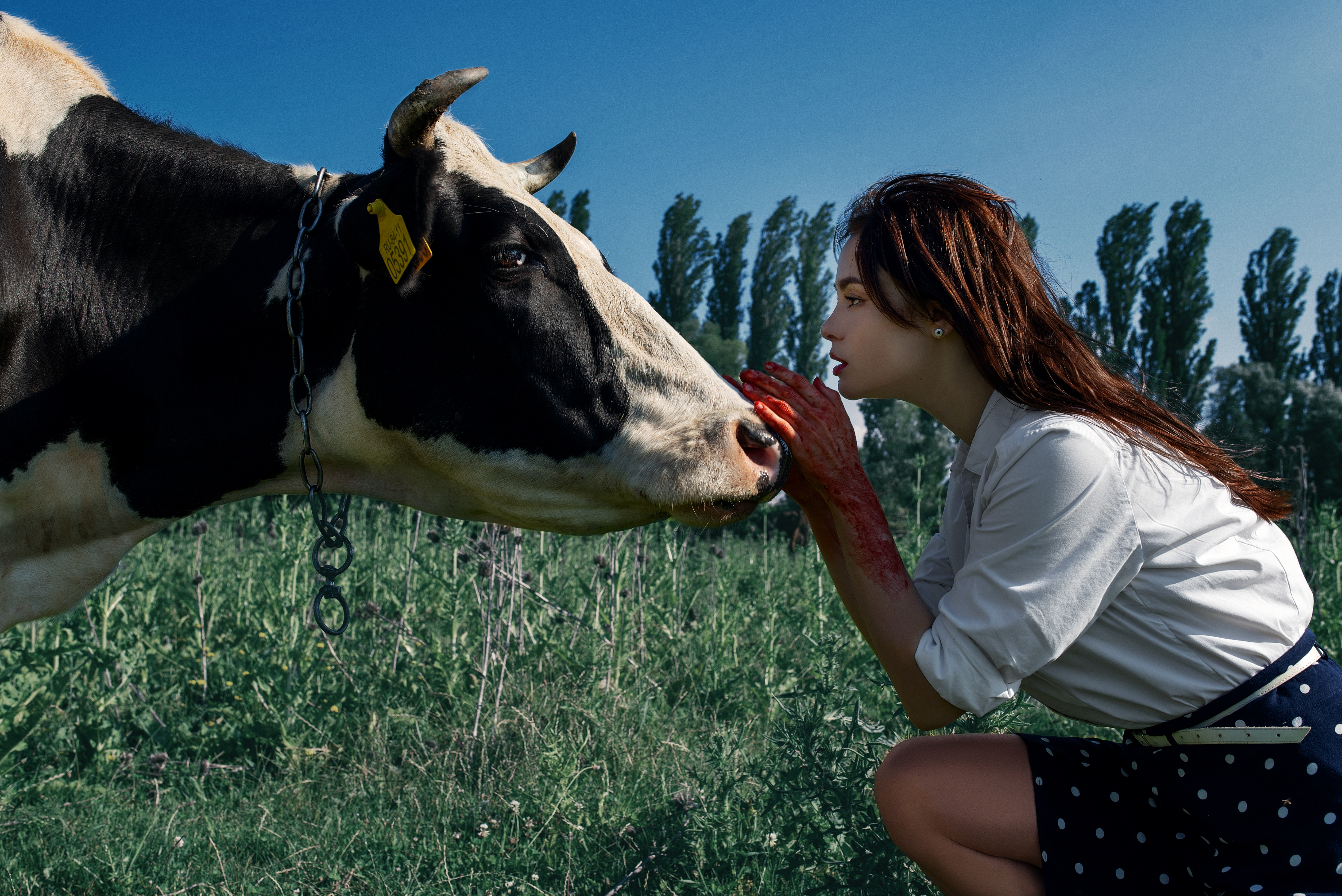 I´m sorry by Arthur Nimitkin