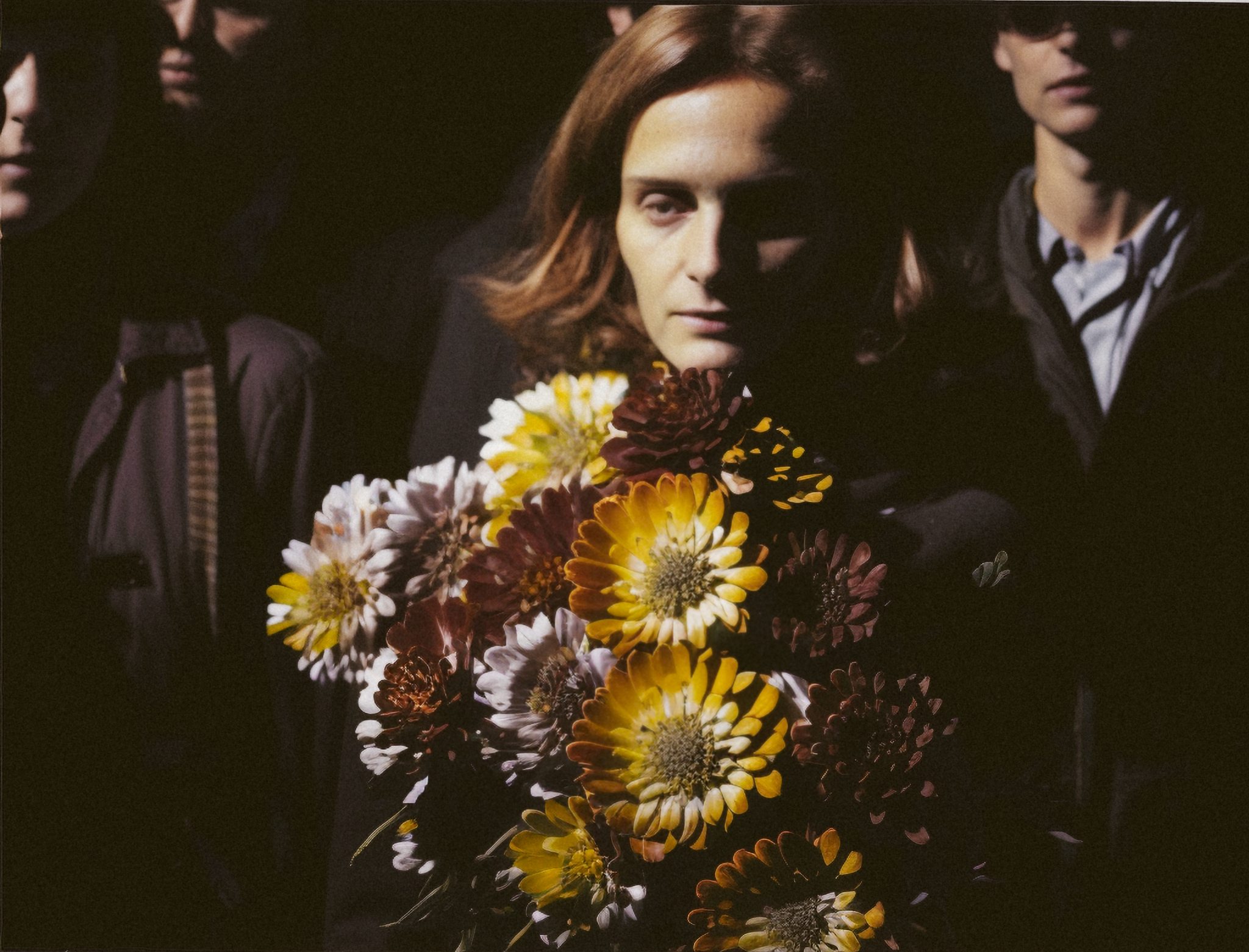 Baberton Daisy, Chromogenic Print, 1981