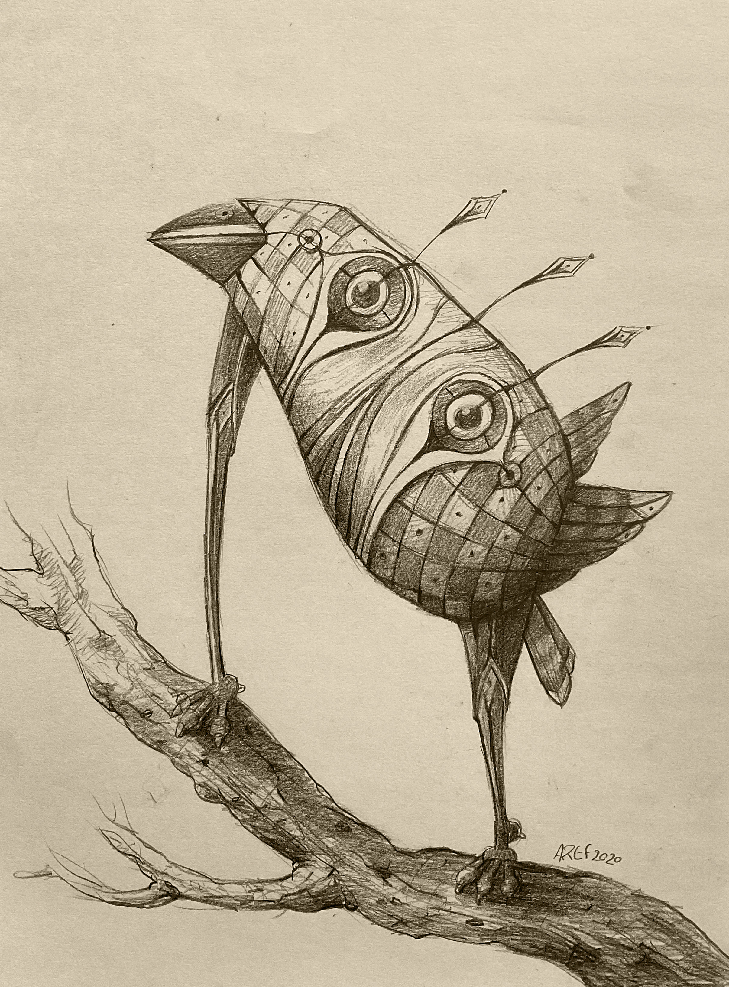 IF I WERE THE CREATOR !