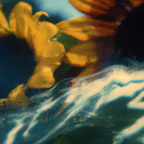 Tsunflower Chaos #47