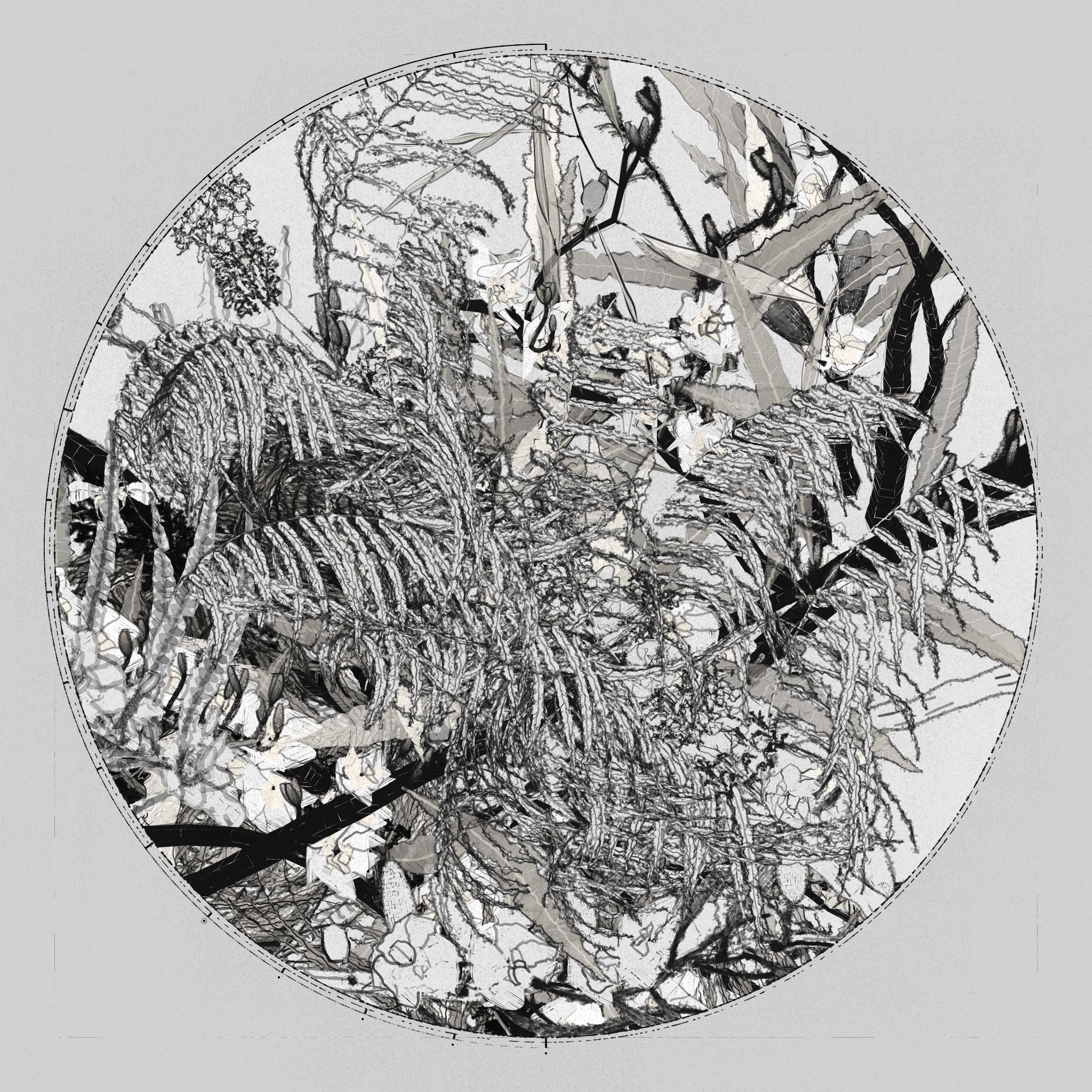 Polypaths | 植徑集 #38