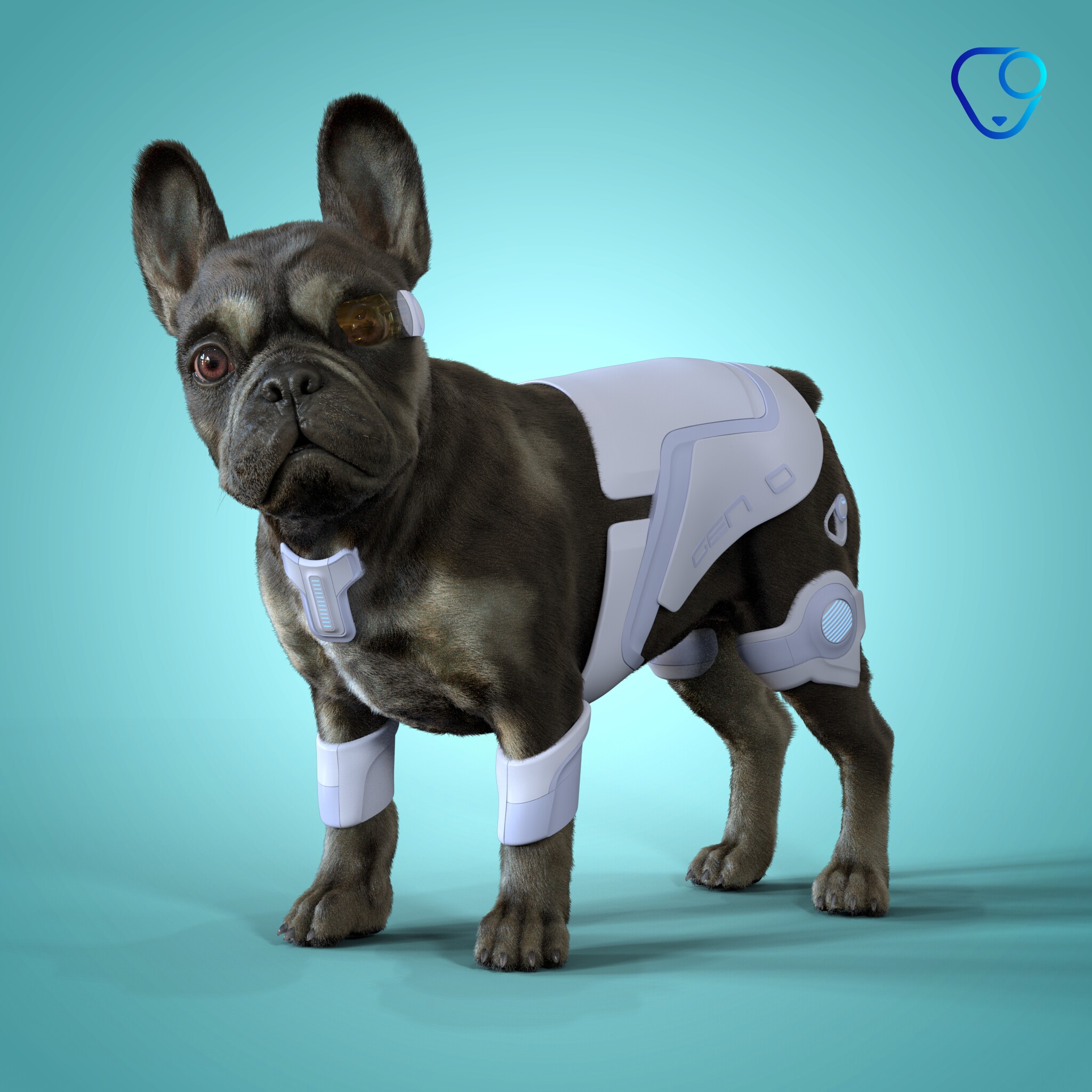 French Bulldog #622